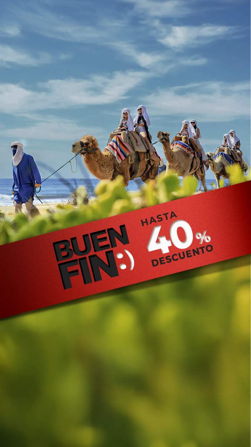 Ofertas de Buen Fin 2024 en Cabo Adventuress.