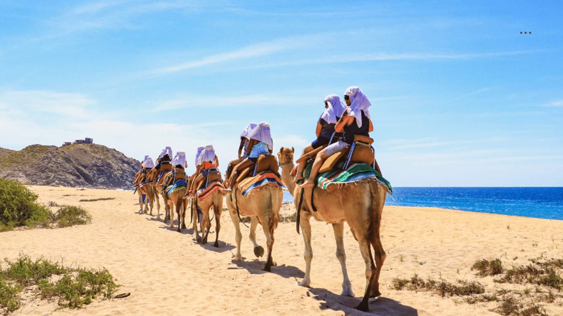 Couples ride camels along a sandy beach in Cabo, with clear blue skies and ocean in the background, creating a unique romantic experience.