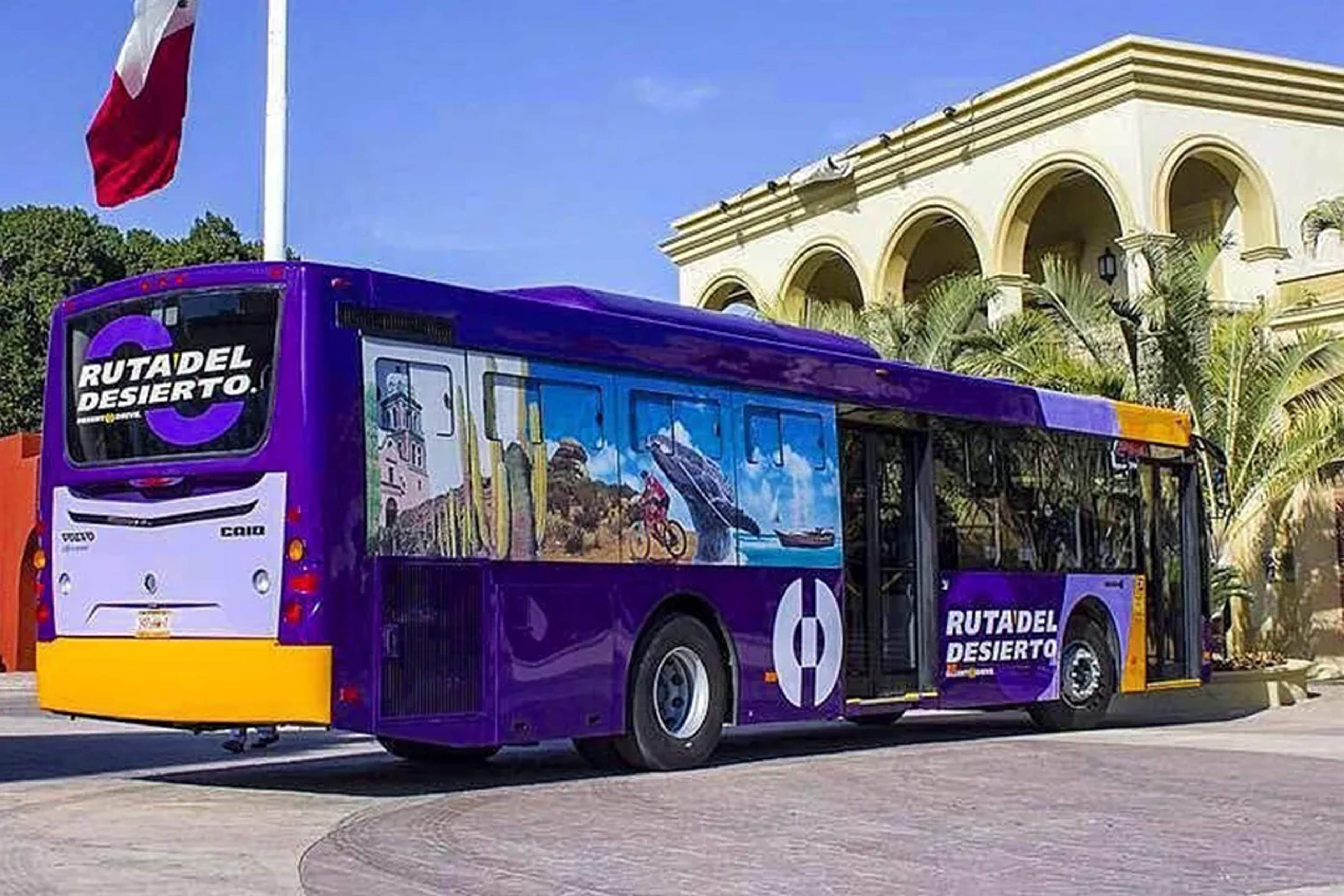 Autobús morado “Ruta del Desierto” estacionado junto a un edificio colonial en Los Cabos.