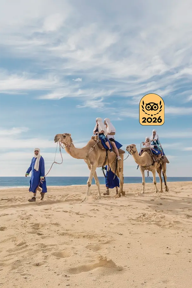 Man riding a camel led by a local guide in a desert landscape with cacti
