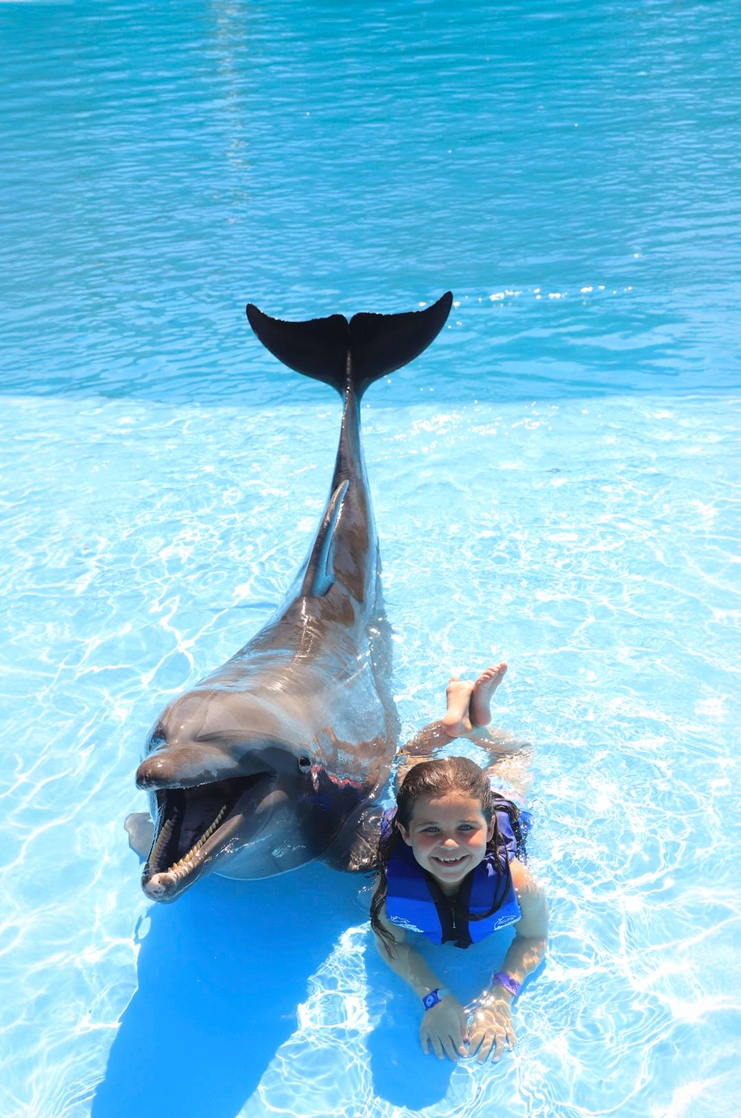 Niña disfrutando de un nado con delfines durante un tour en Cabo San Lucas.