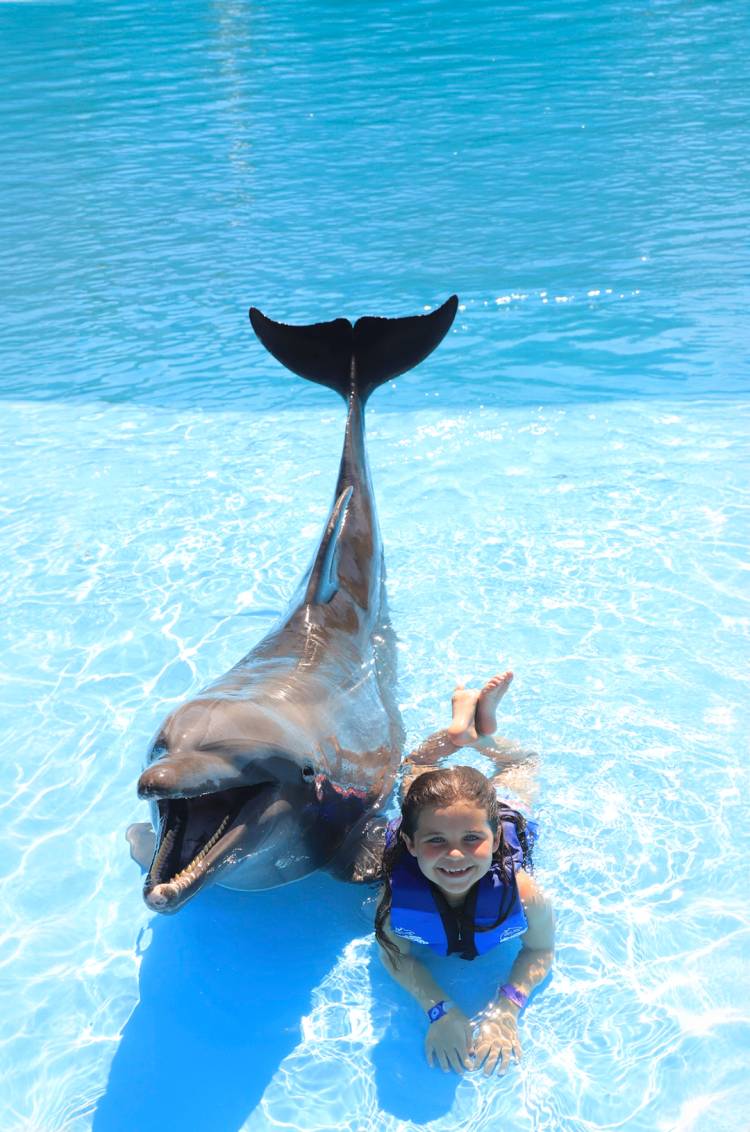 Girl enjoying a dolphin swim during a tour in Cabo San Lucas.