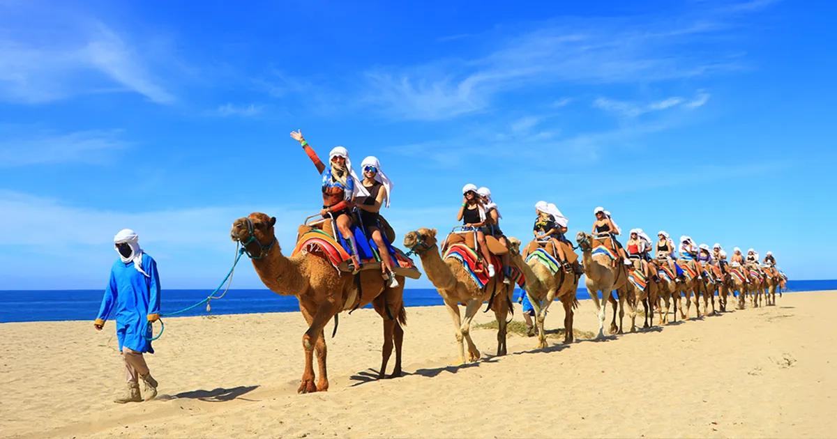 Things to Do in Cabo San Lucas: Your Complete Guide for 2026