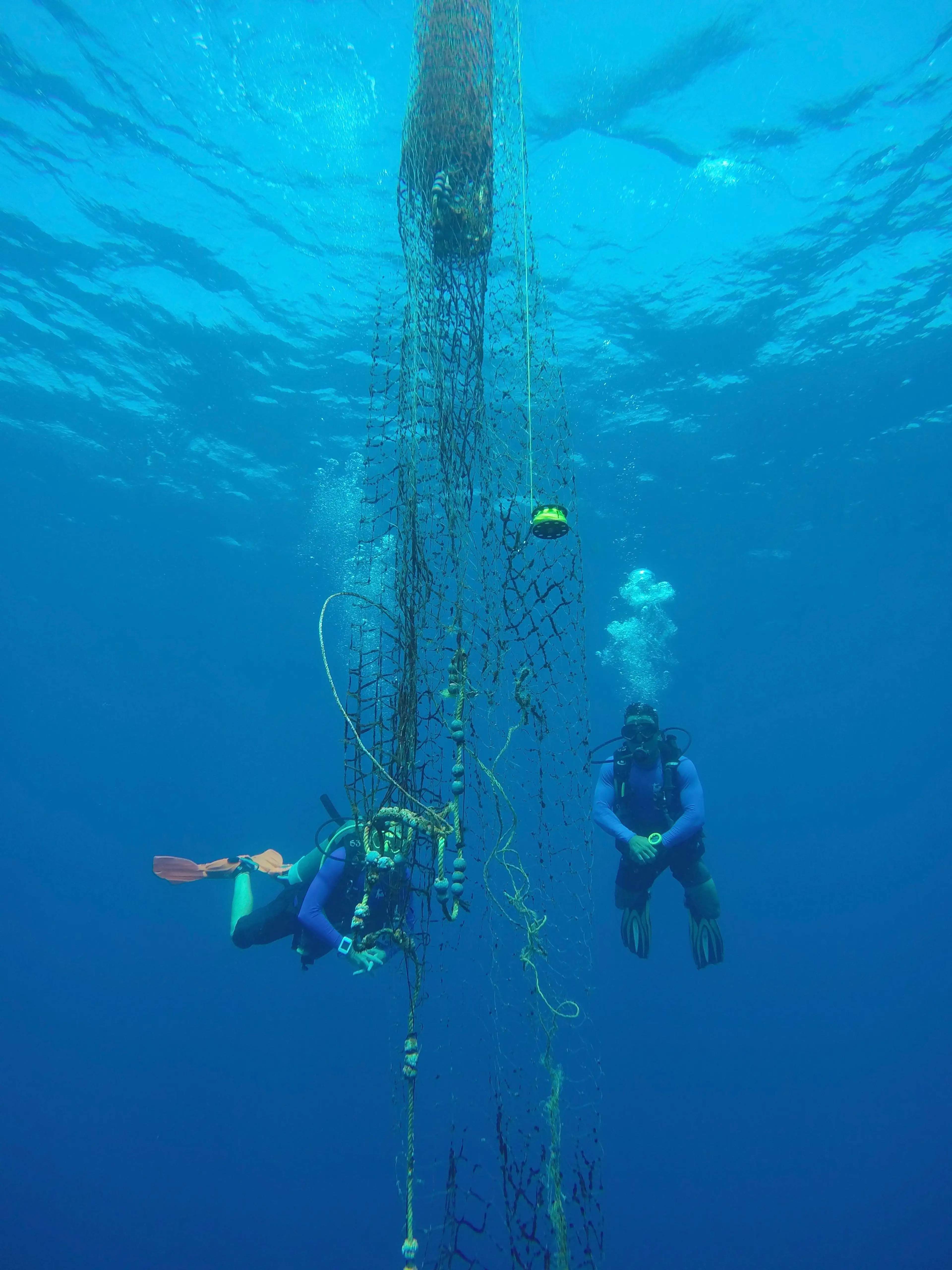 Divers work to remove an abandoned fishing net entangled underwater, helping to clear the ocean.