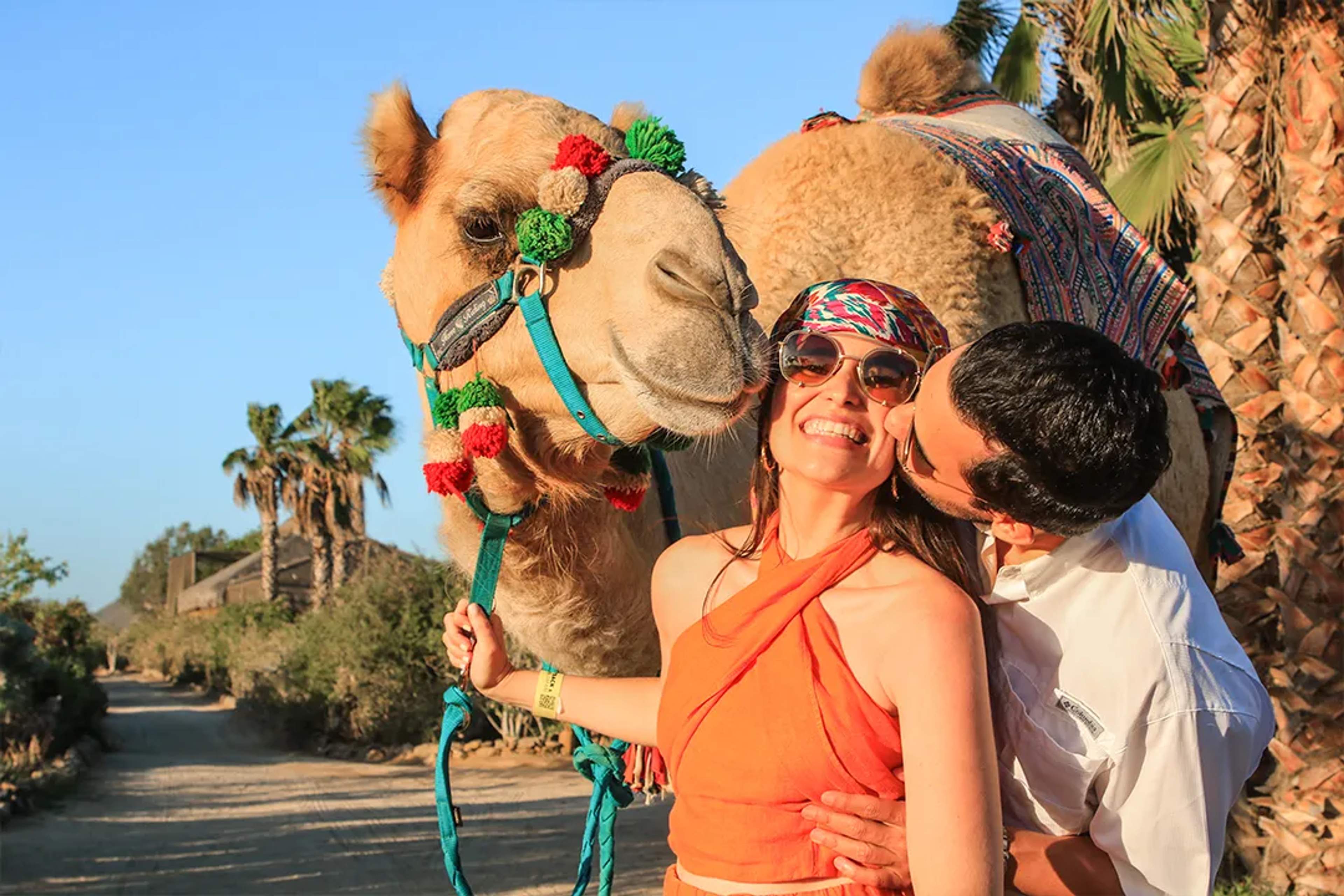 Couple enjoying a Camel Safari in Los Cabos, sharing a romantic desert experience surrounded by nature
