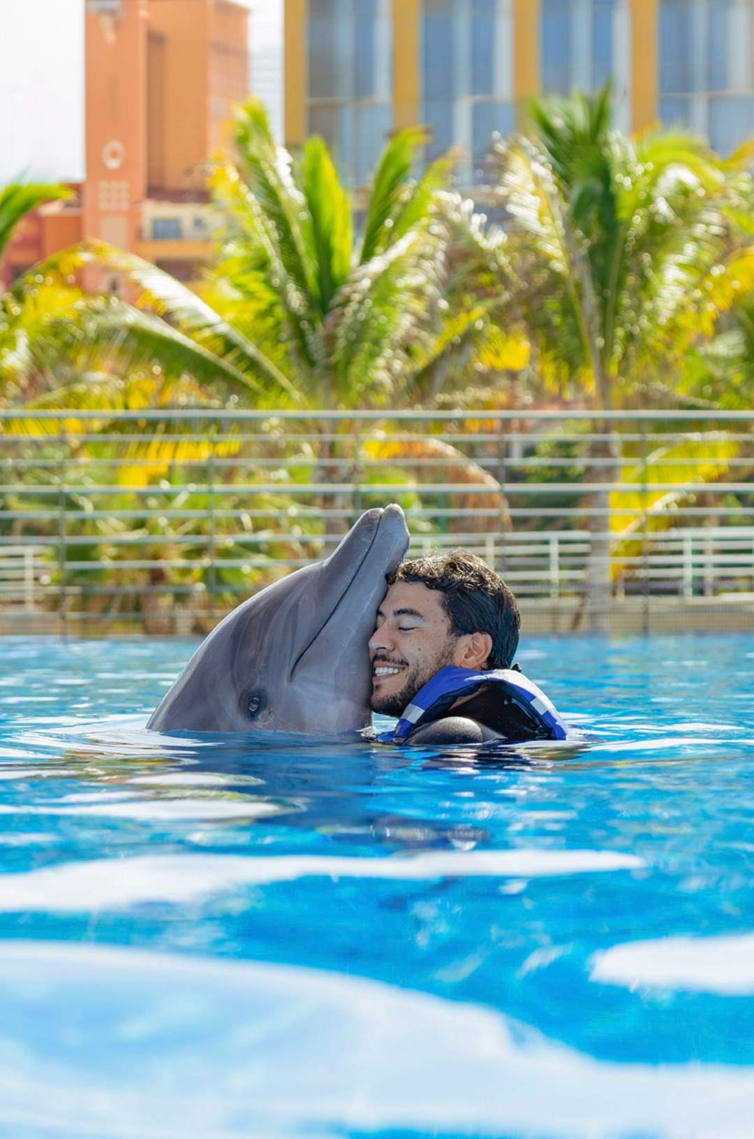 Man receiving a hug from a dolphin during an experience in Cabo San Lucas.
