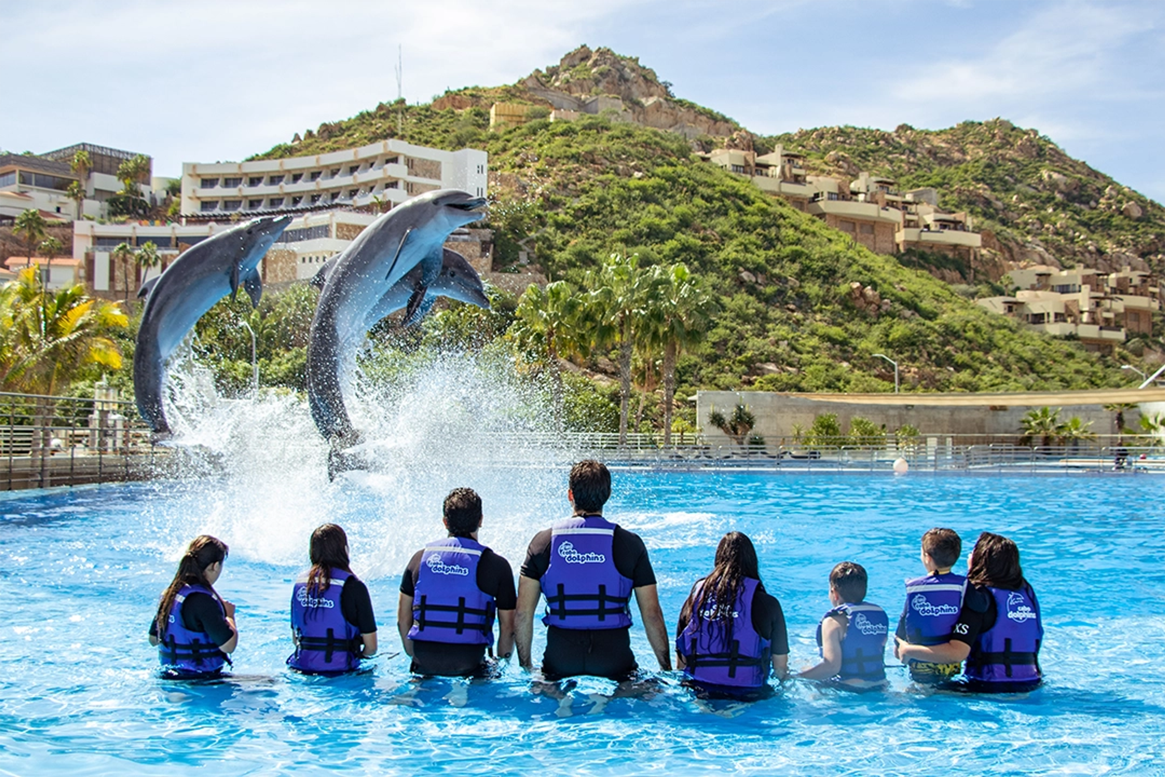 People watching dolphins jump in a pool, with a mountainous landscape and buildings in the background in Los Cabos.