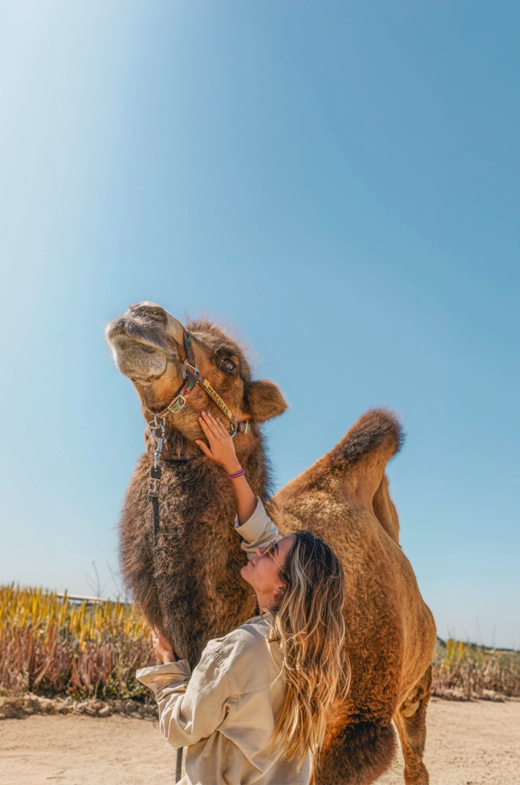 Woman petting a camel under a clear sky, sharing a special moment in Cabo.