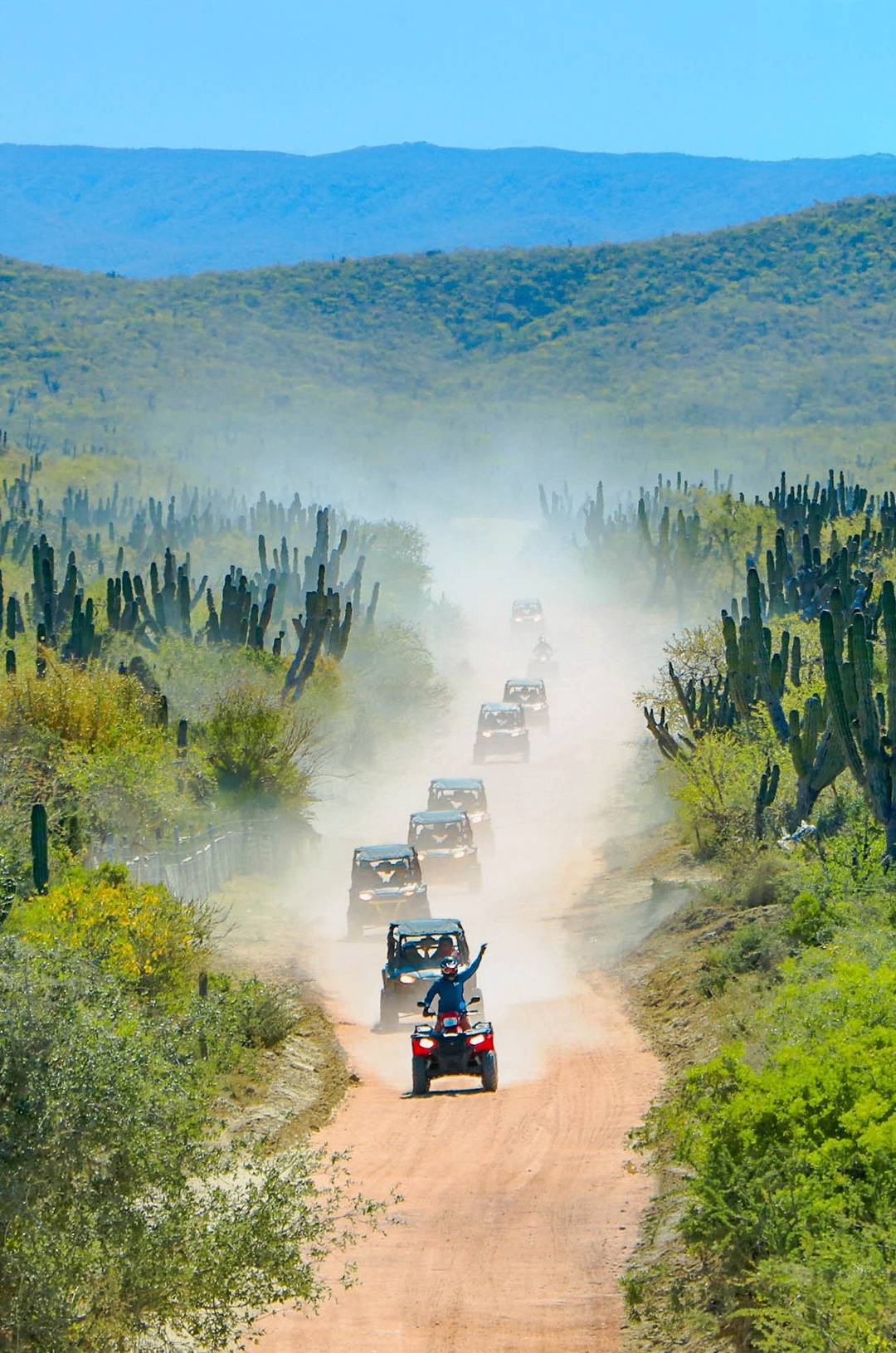 A line of ATVs and UTVs drives down a desert trail lined with cacti, with green hills and blue mountains in the background.