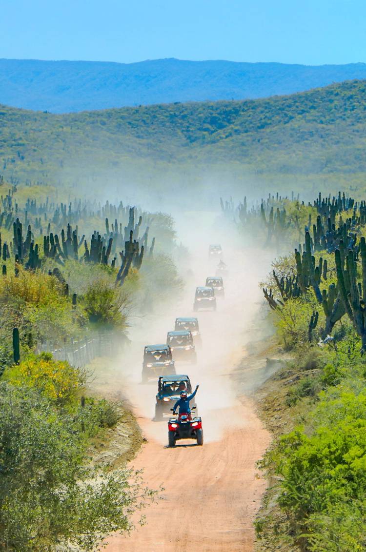 Una fila de cuatrimotos y UTVs recorre un sendero en el desierto rodeado de cactus, con colinas y montañas al fondo.