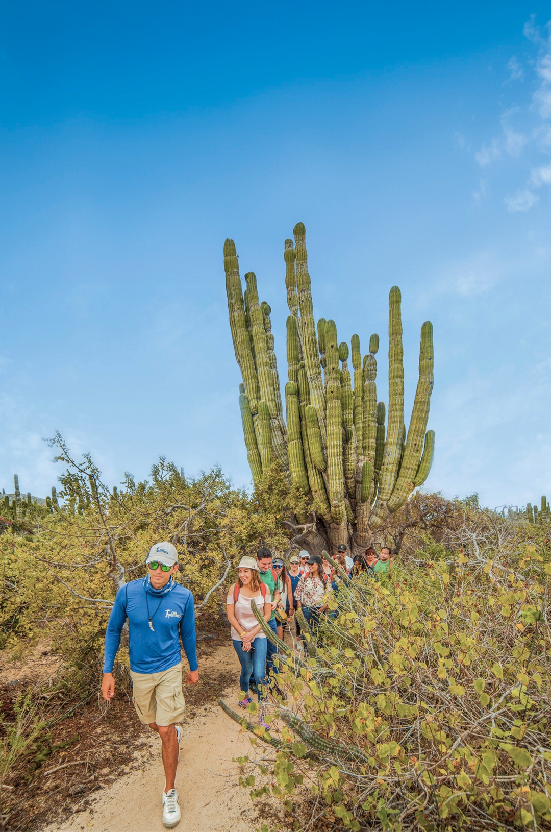 Guided nature hike through desert trails surrounded by tall cacti and native plants.
