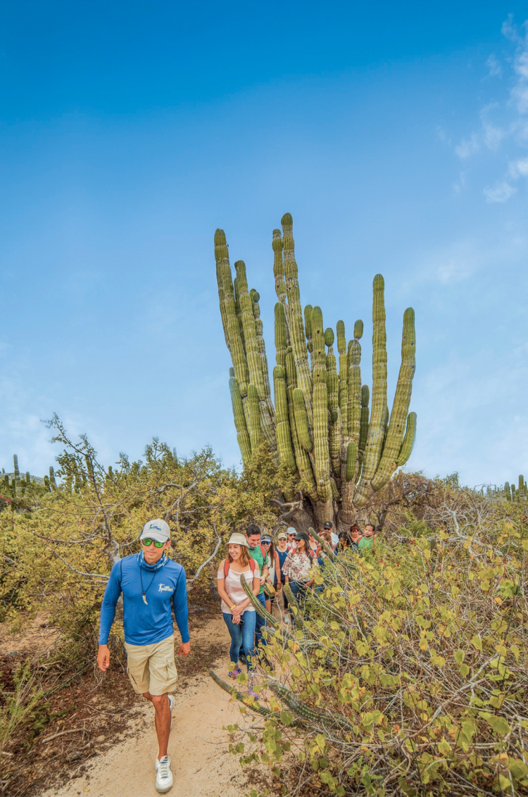 Guided nature hike through desert trails surrounded by tall cacti and native plants.