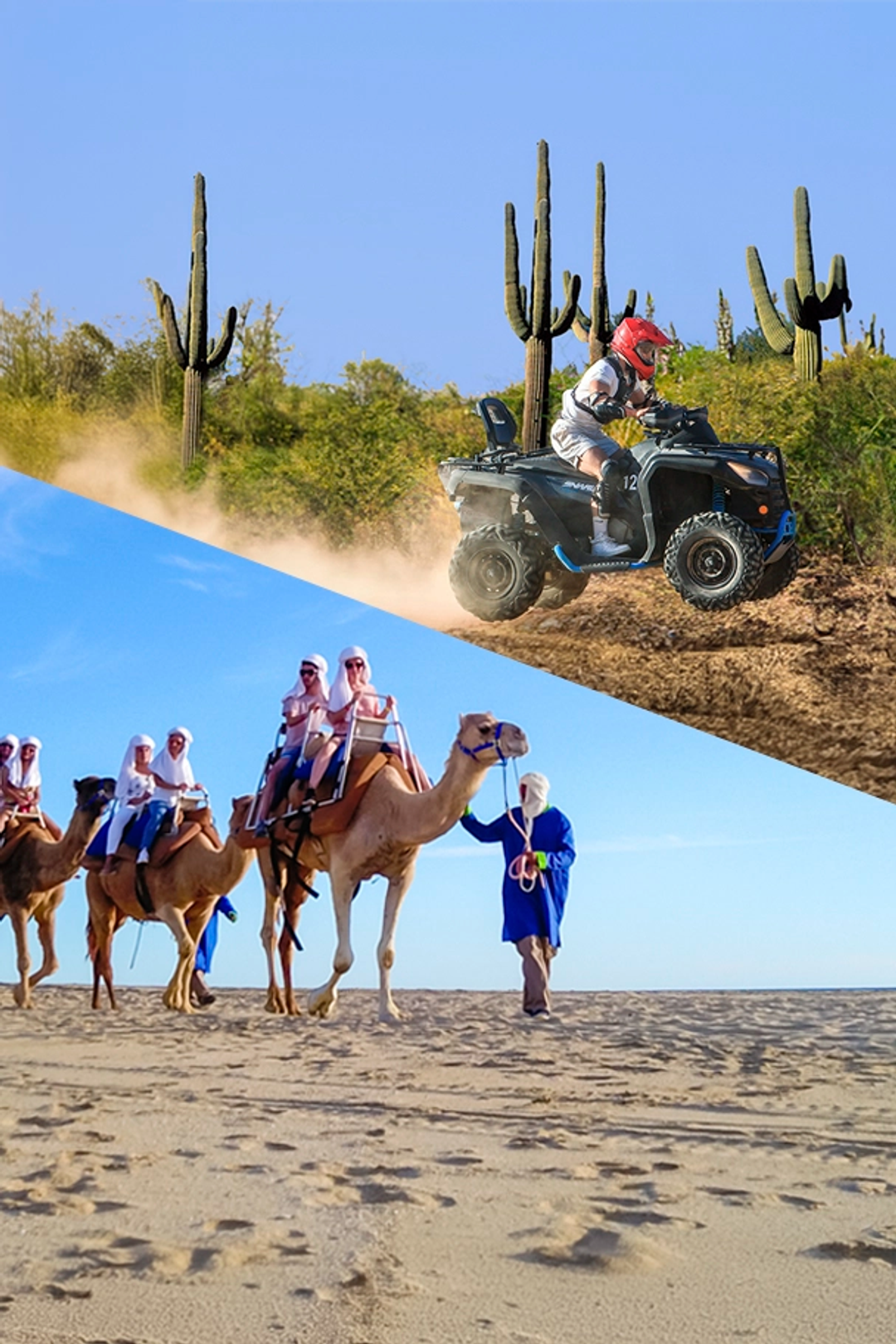 Person with a camel under a palm tree and an off-road vehicle driving on the beach