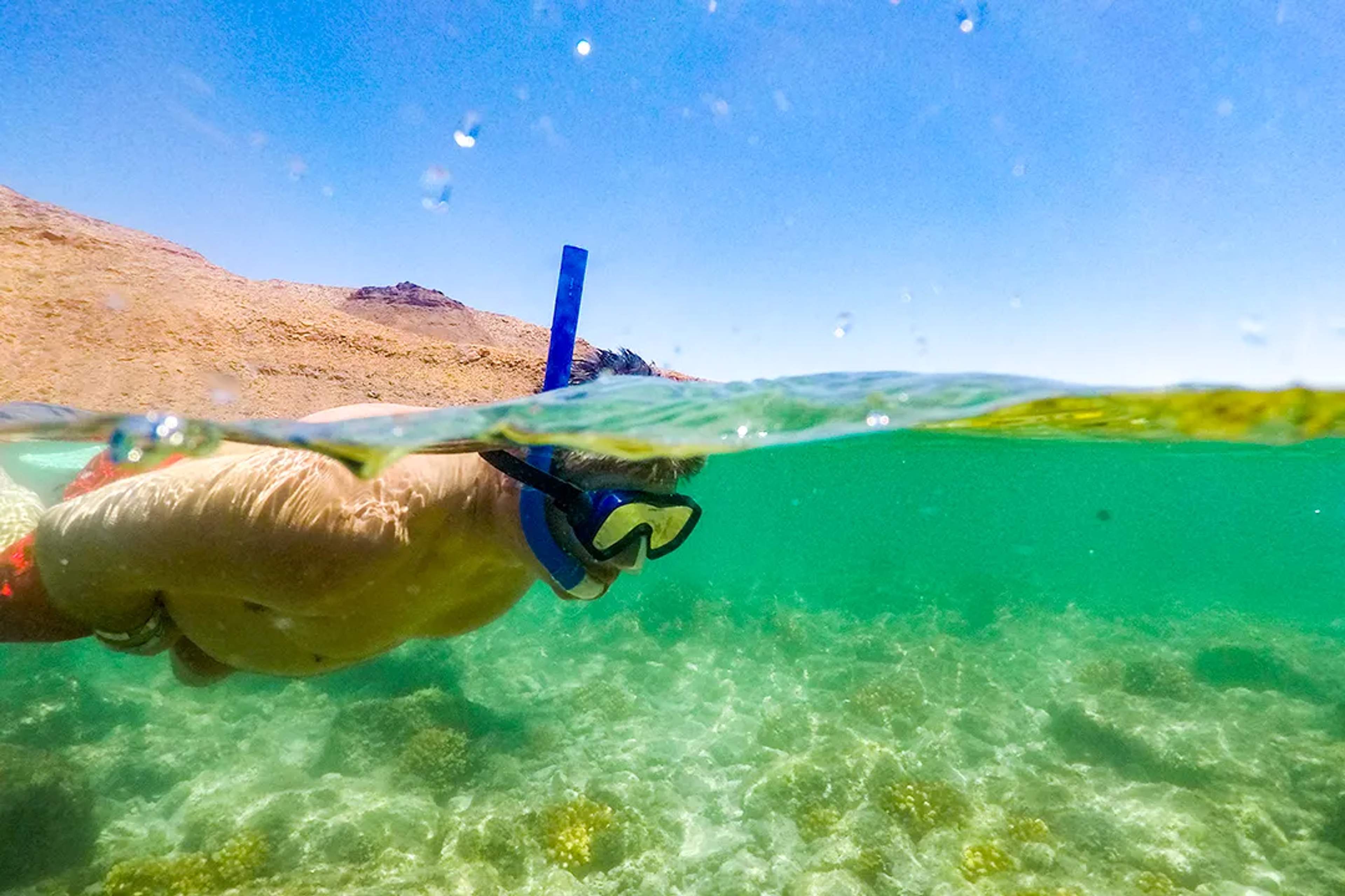 Snorkeler exploring shallow turquoise waters with coral formations along a sunny tropical coastline
