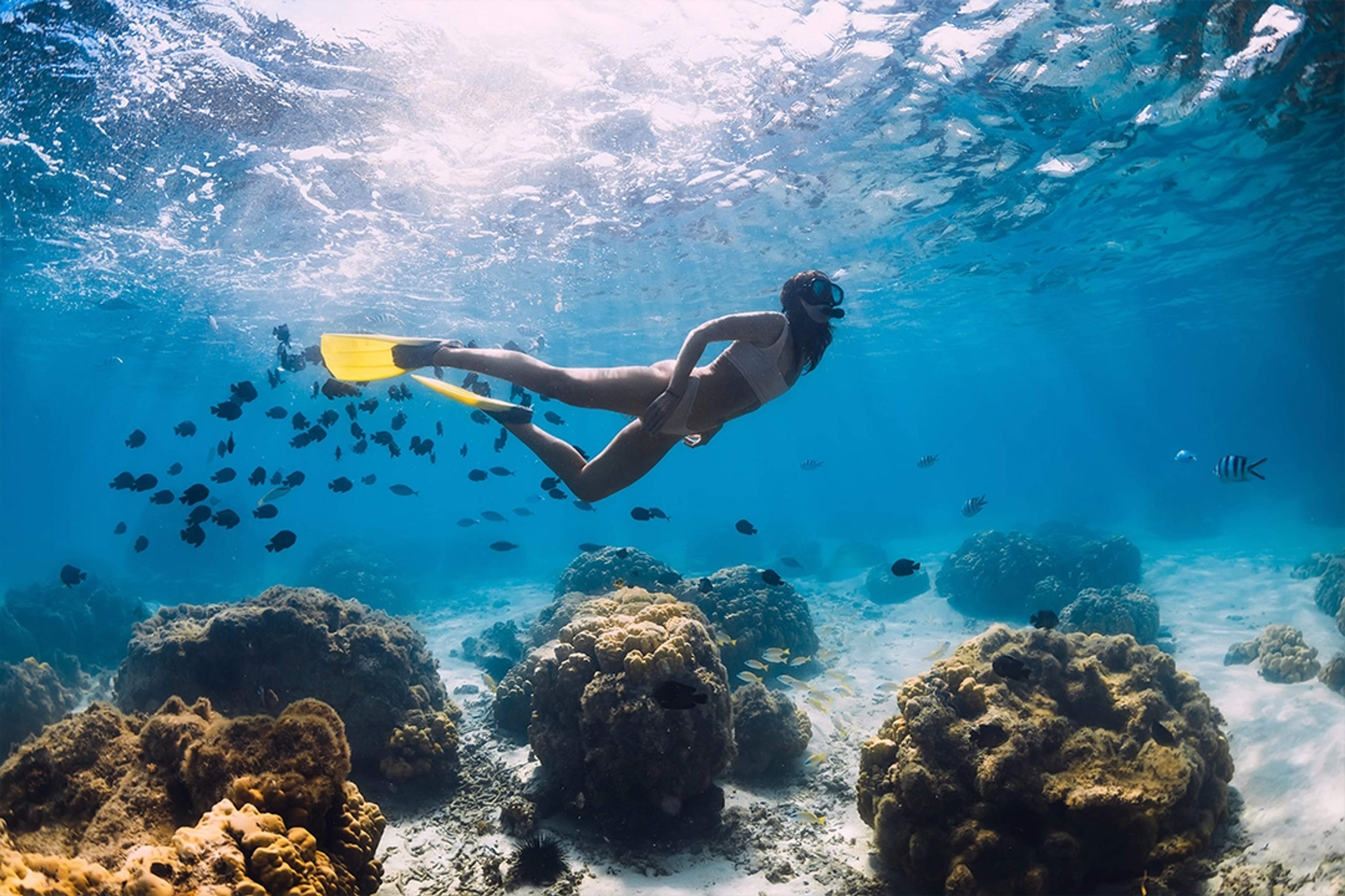 Woman snorkeling among tropical fish and corals in the clear waters of the Sea of Cortez.