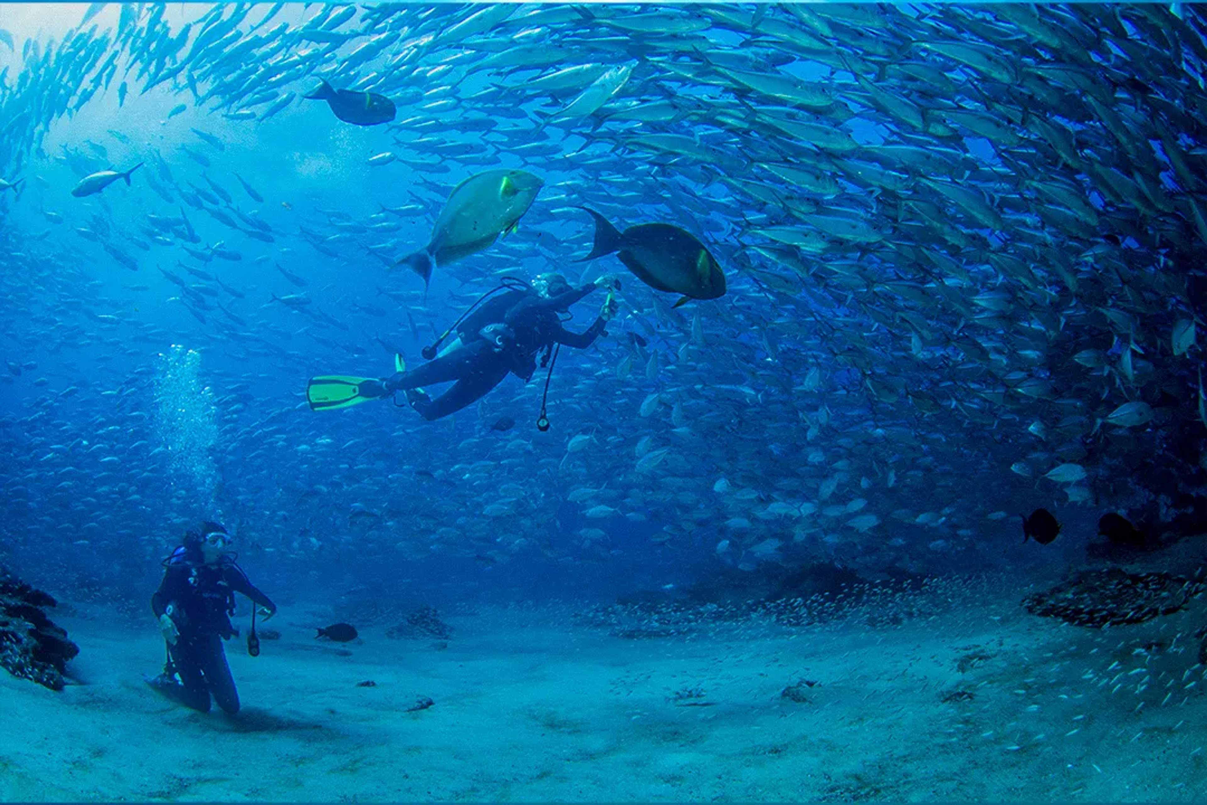 Los mejores sitios de buceo en México