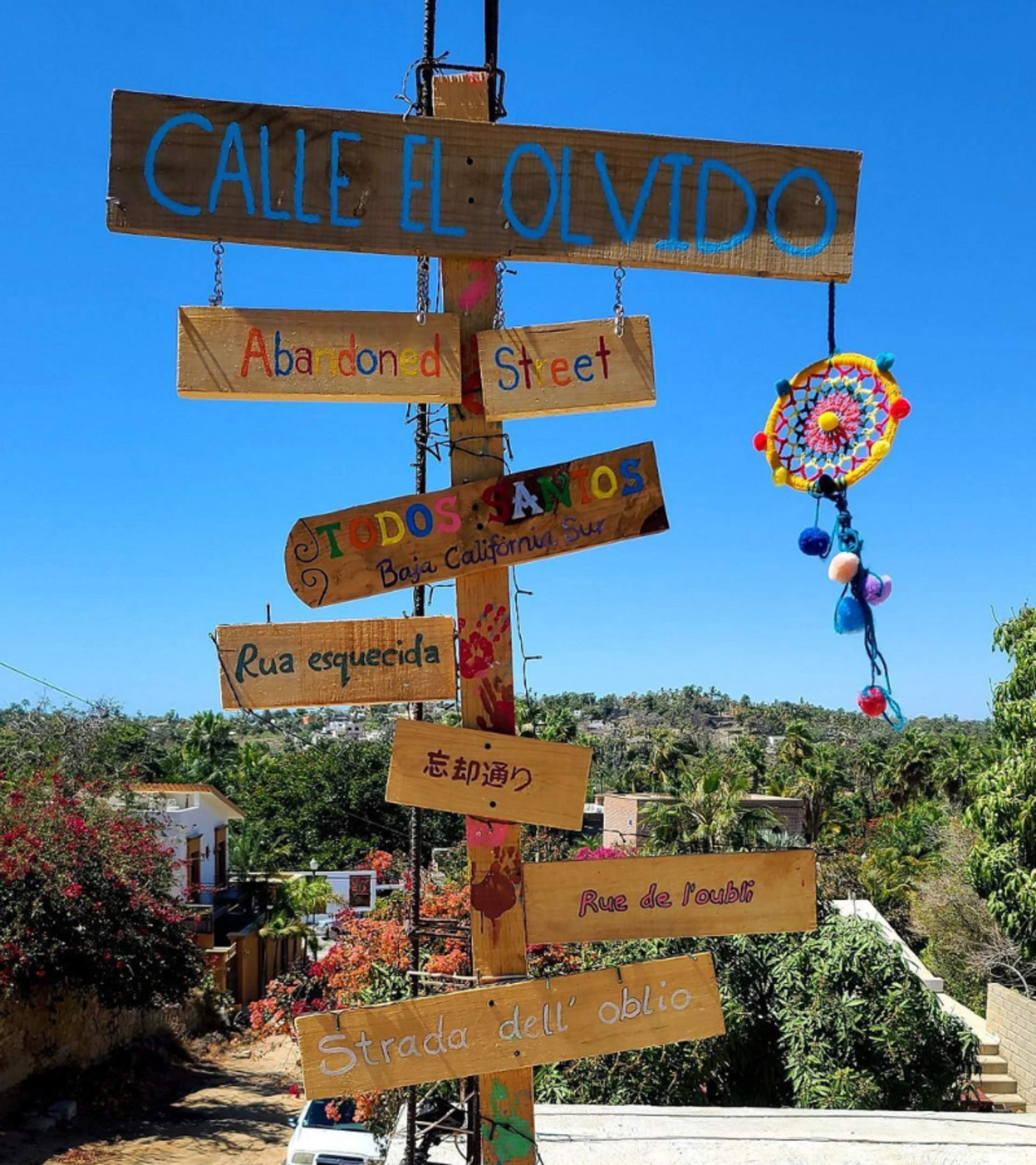 Wooden street sign in Todos Santos, Baja California Sur, Mexico, with "Calle El Olvido" and translations in various languages under a clear blue sky.