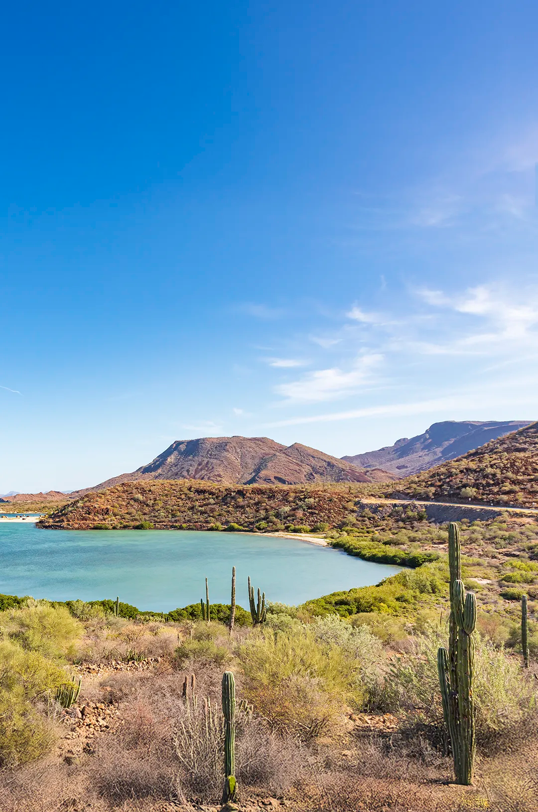 Scenic view of Bahía Concepción in Baja California Sur, Mexico, with turquoise waters and desert hills.