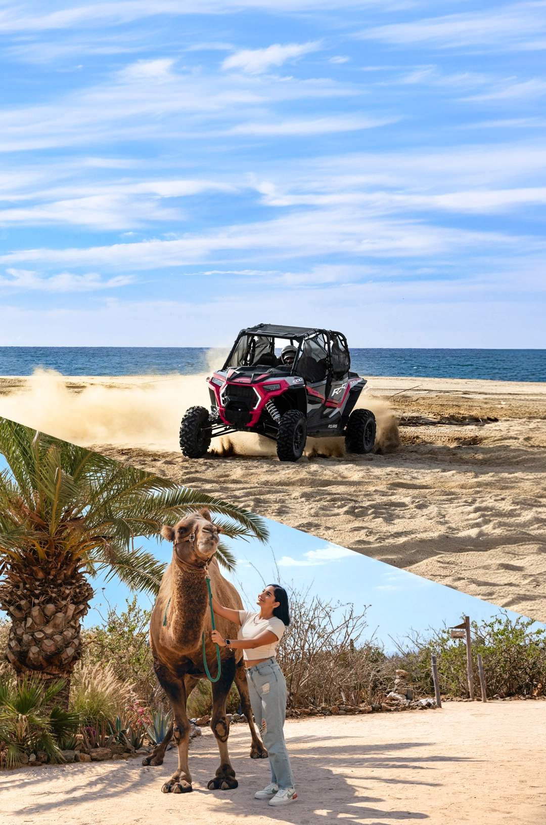 Mujer con un camello y UTV en la playa, combinando aventura y naturaleza en Cabo San Lucas.