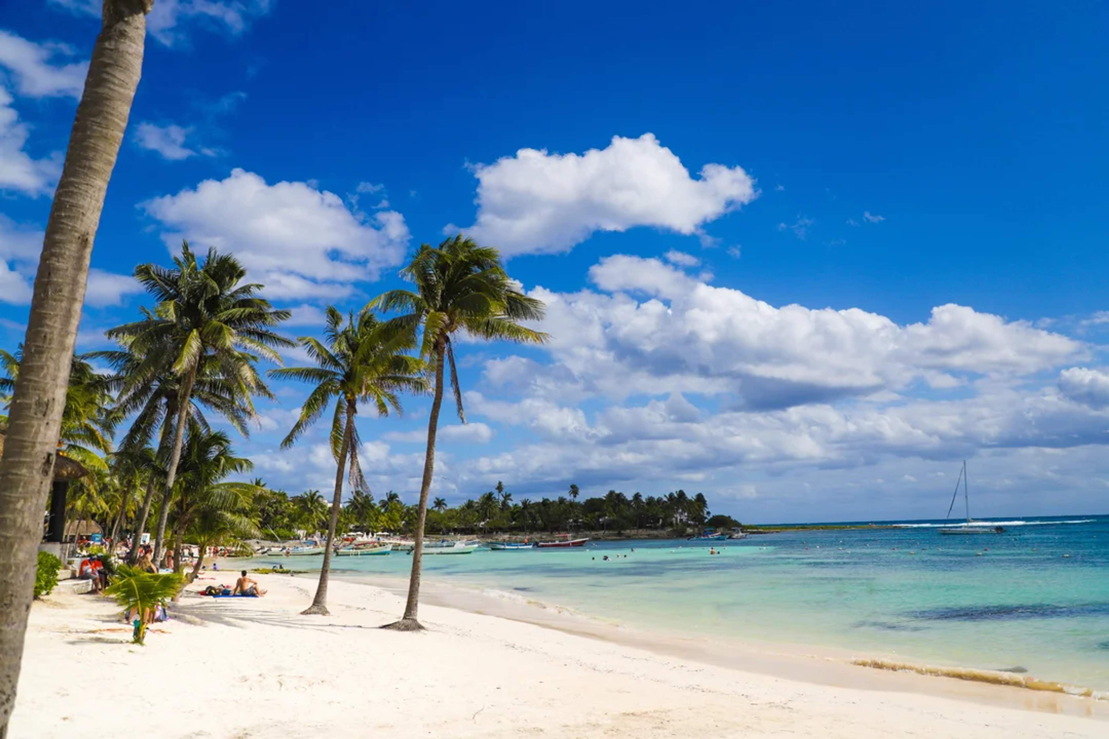 Palm trees line a white sandy beach with turquoise waters under a bright sky in tropical paradise.
