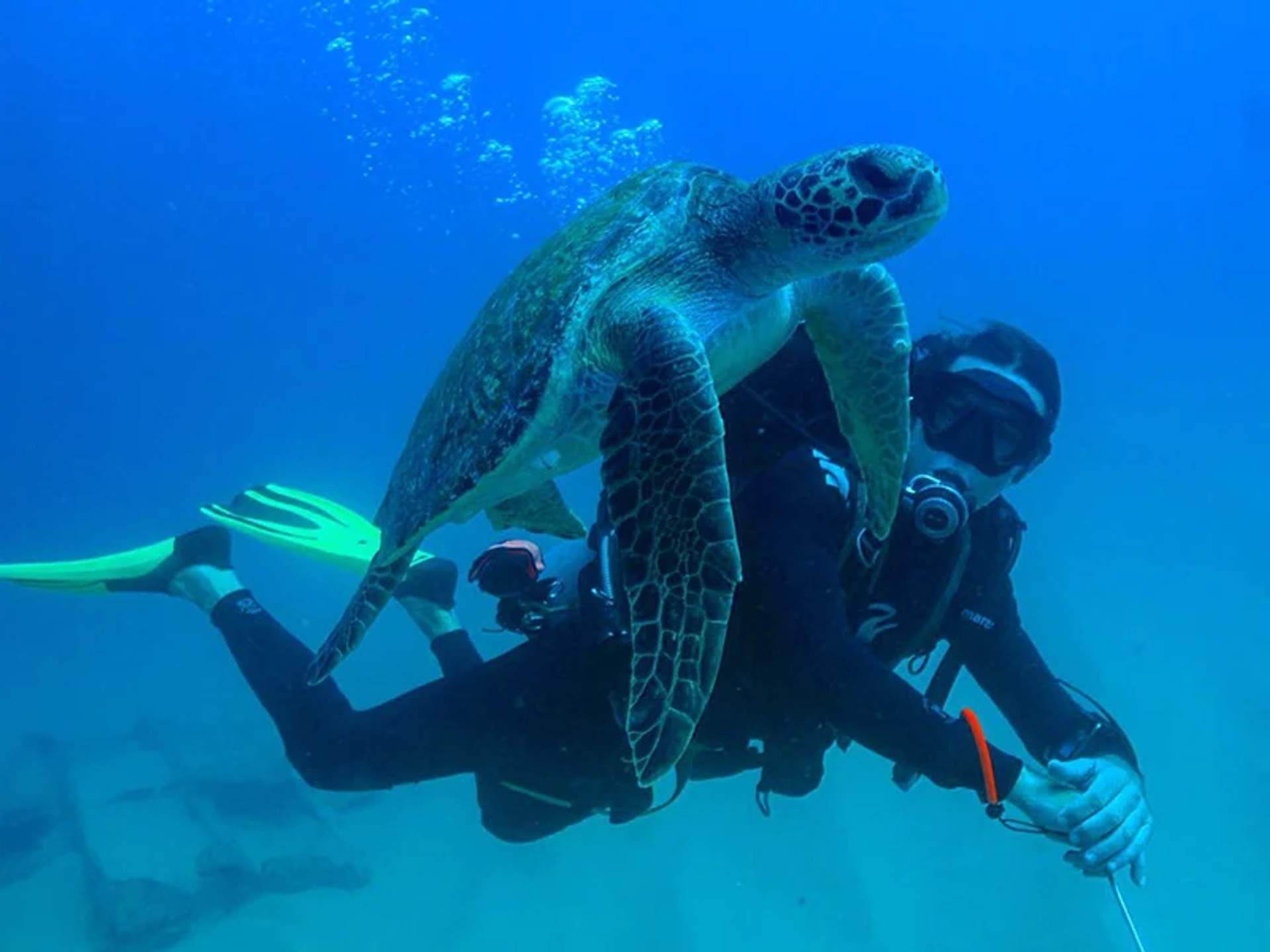 A scuba diver swims underwater alongside a sea turtle in clear blue water.