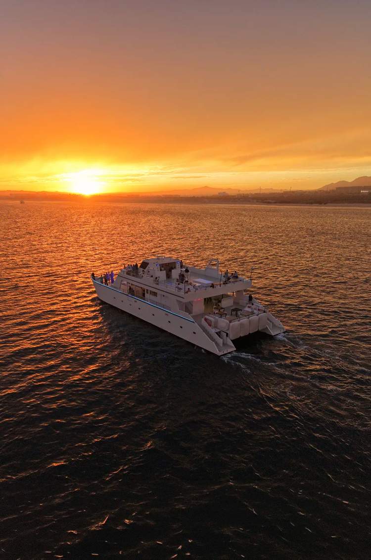 Oceanus catamaran sailing across the Sea of Cortez during a golden sunset in Los Cabos.