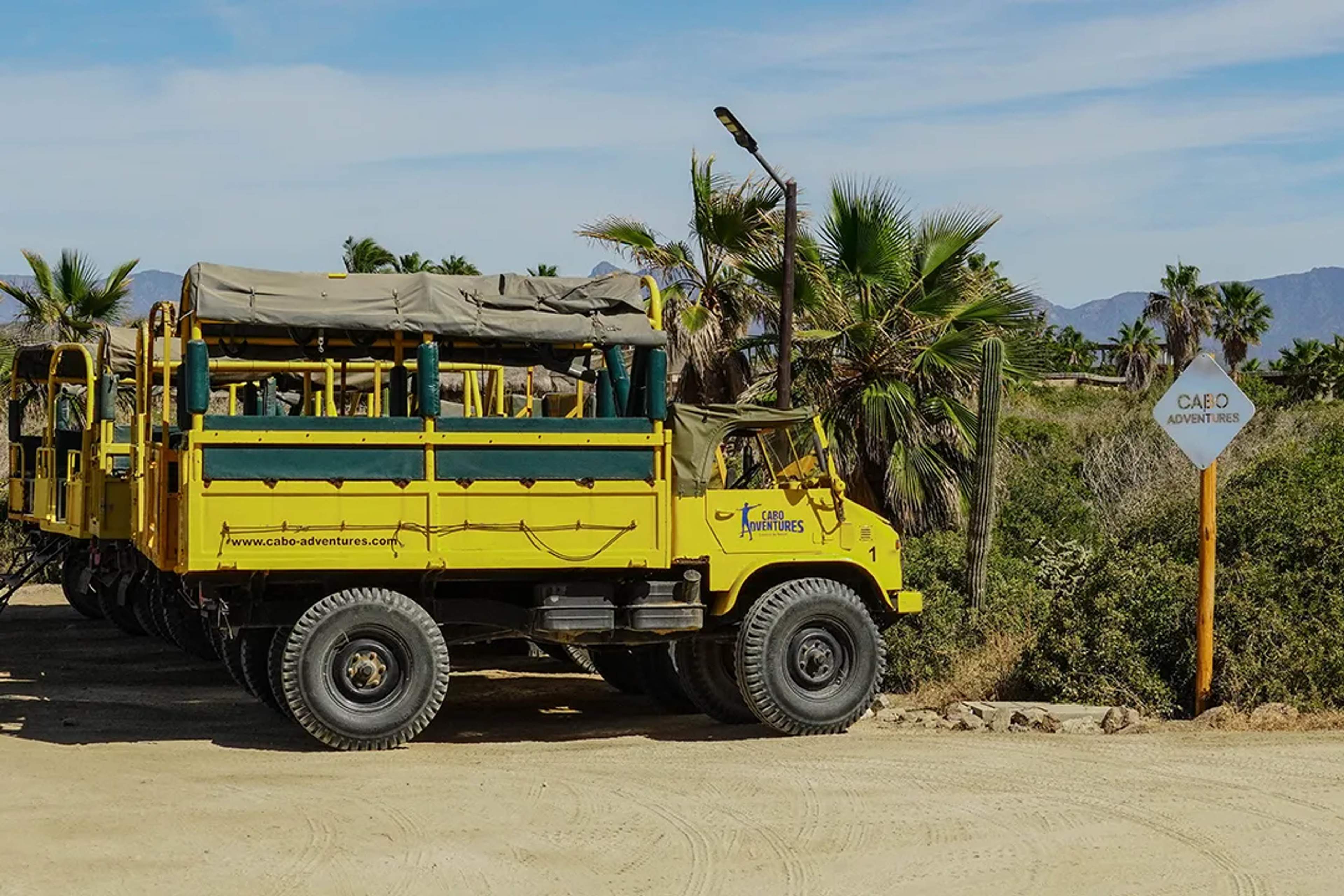 Yellow Cabo Adventures Unimog parked near palm trees, ready for an off-road desert tour.
