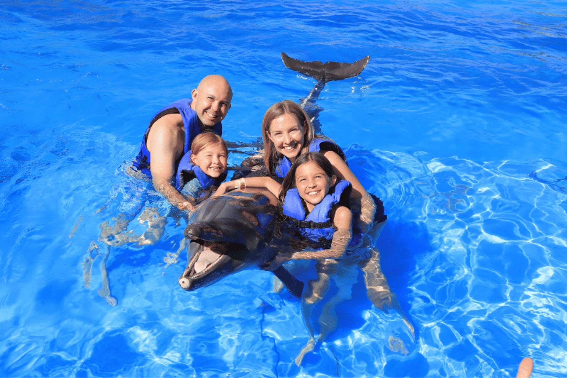 A smiling family of four, wearing life vests, enjoys swimming with a dolphin in a clear blue pool.