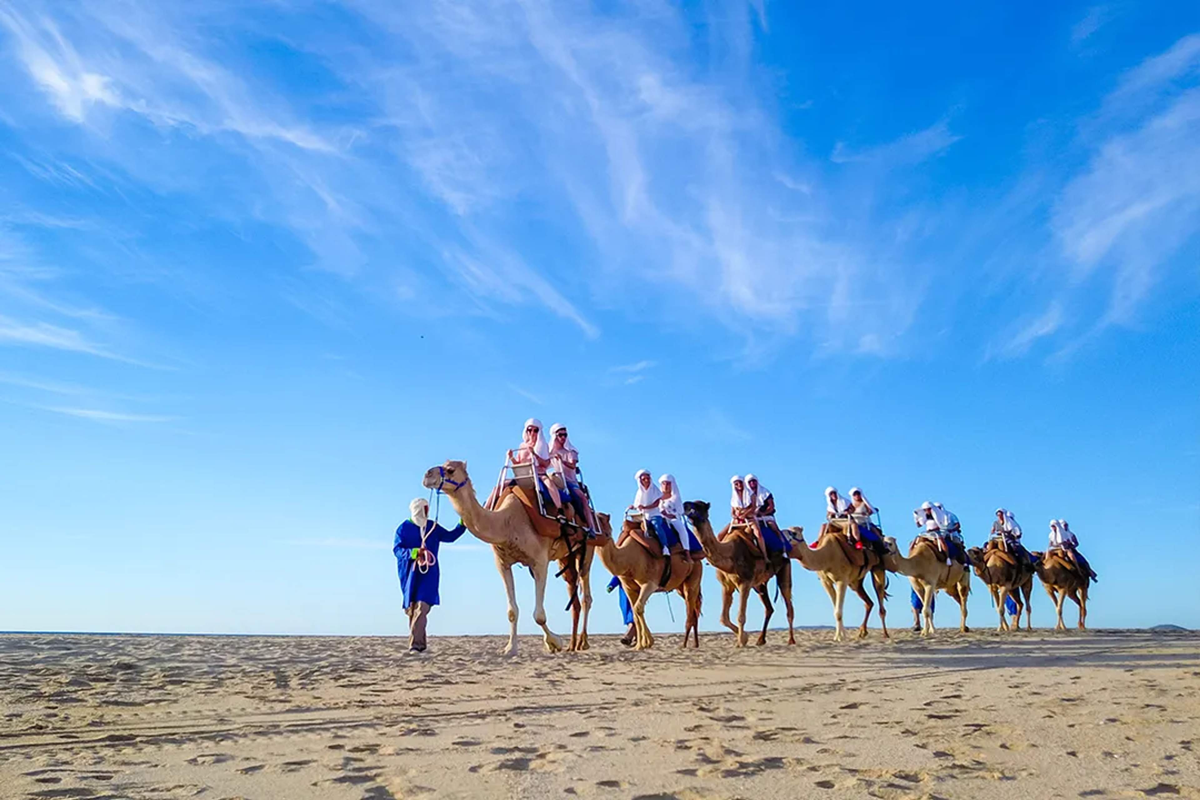 Caravana de camellos en playa virgen durante el Outback and Camel Ride Tour de Cabo Adventures en Los Cabos