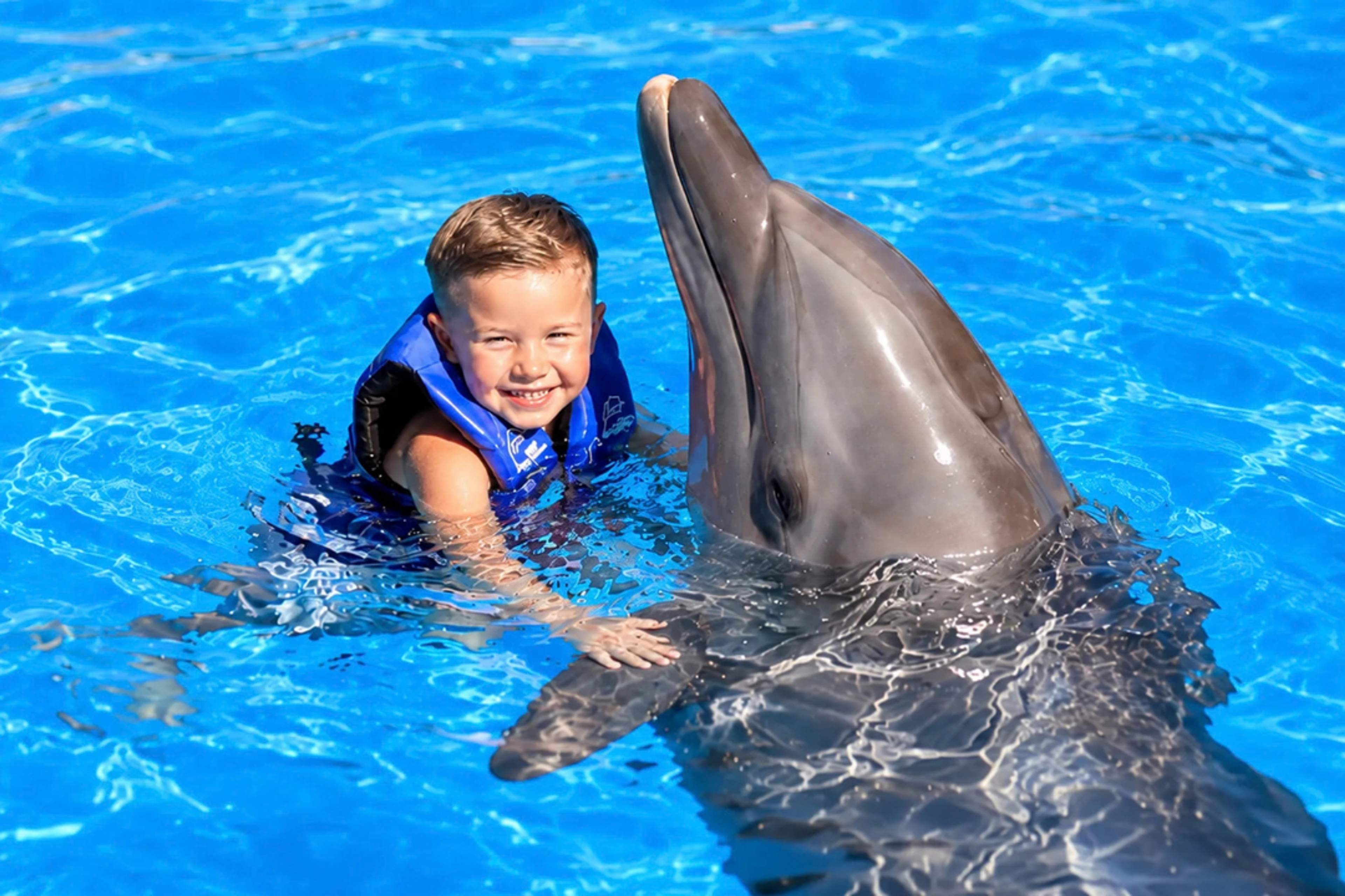 Young child swimming with a dolphin during a family experience with Cabo Adventures in Los Cabos.