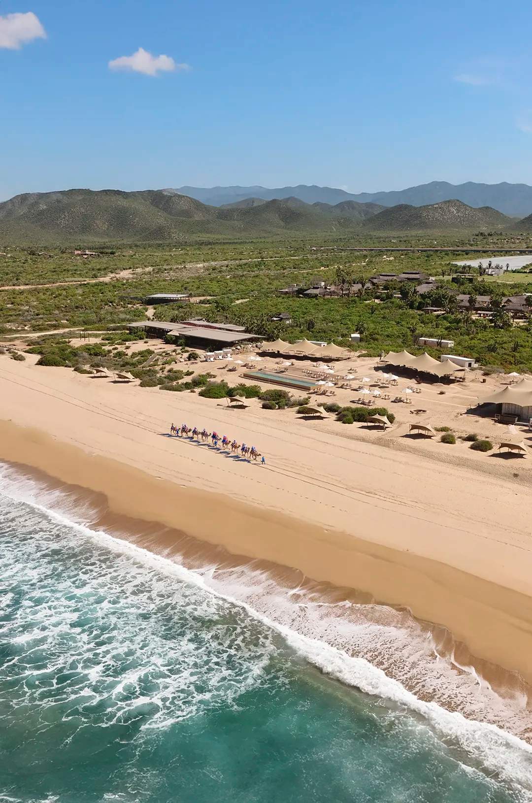 Scenic camel ride along pristine Cabo beach with ocean waves at Tierra Sagrada Adventure Park