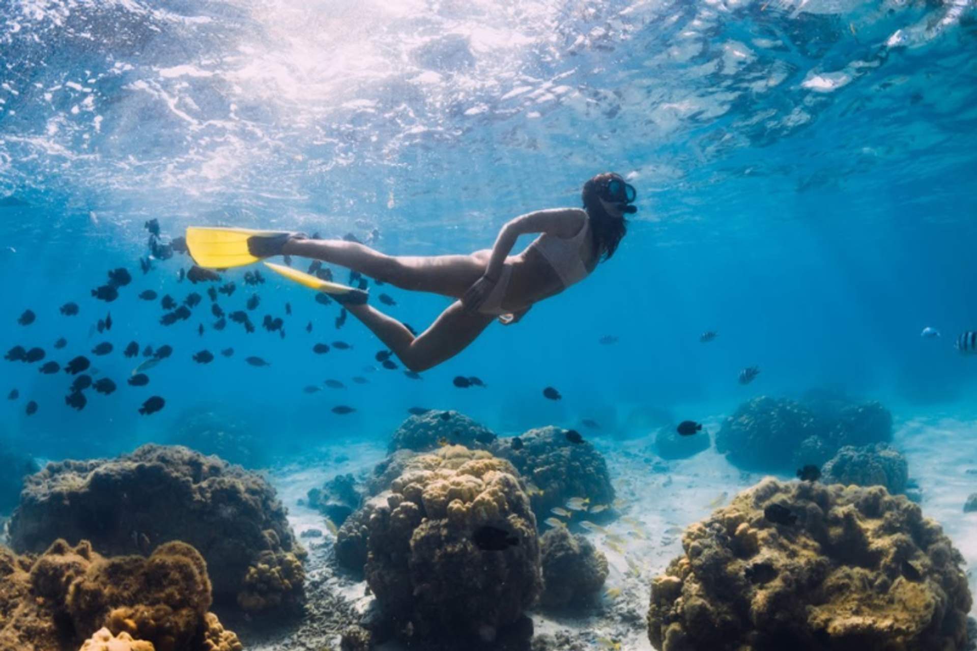 A woman with yellow fins snorkels over a coral reef, surrounded by small black fish in clear blue water.