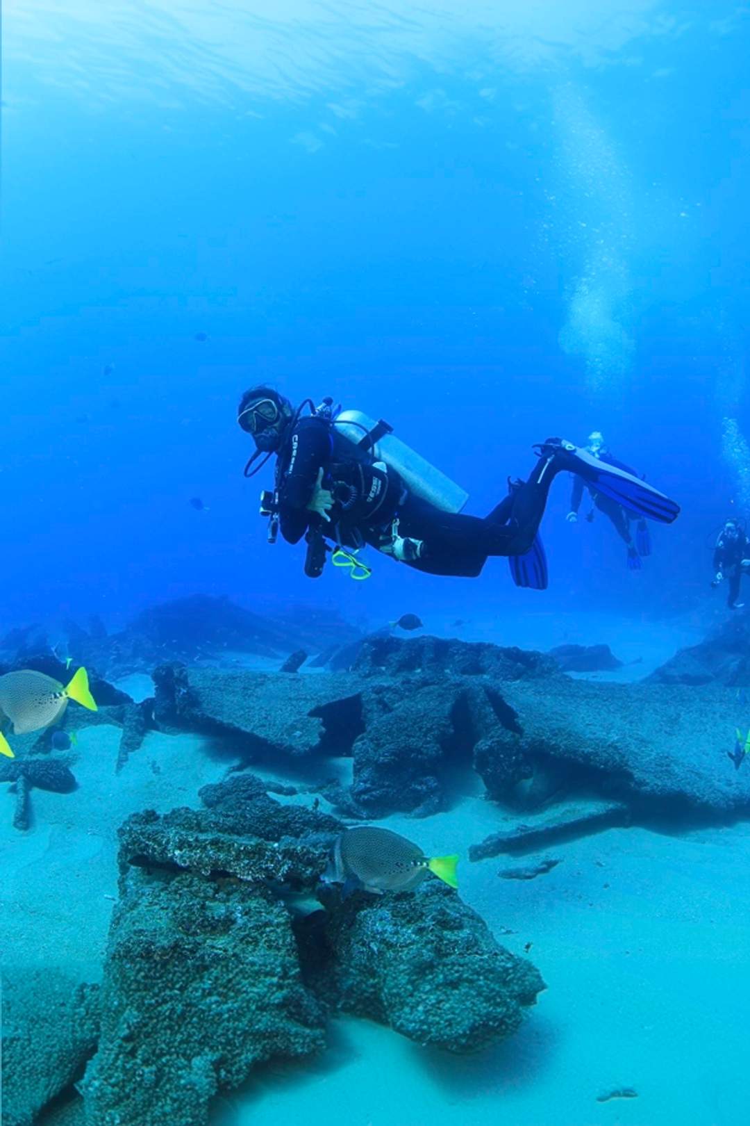 Scuba divers exploring a sunken ship surrounded by yellowtail fish in a deep blue ocean. PADI 5 Star Dive Center logo.