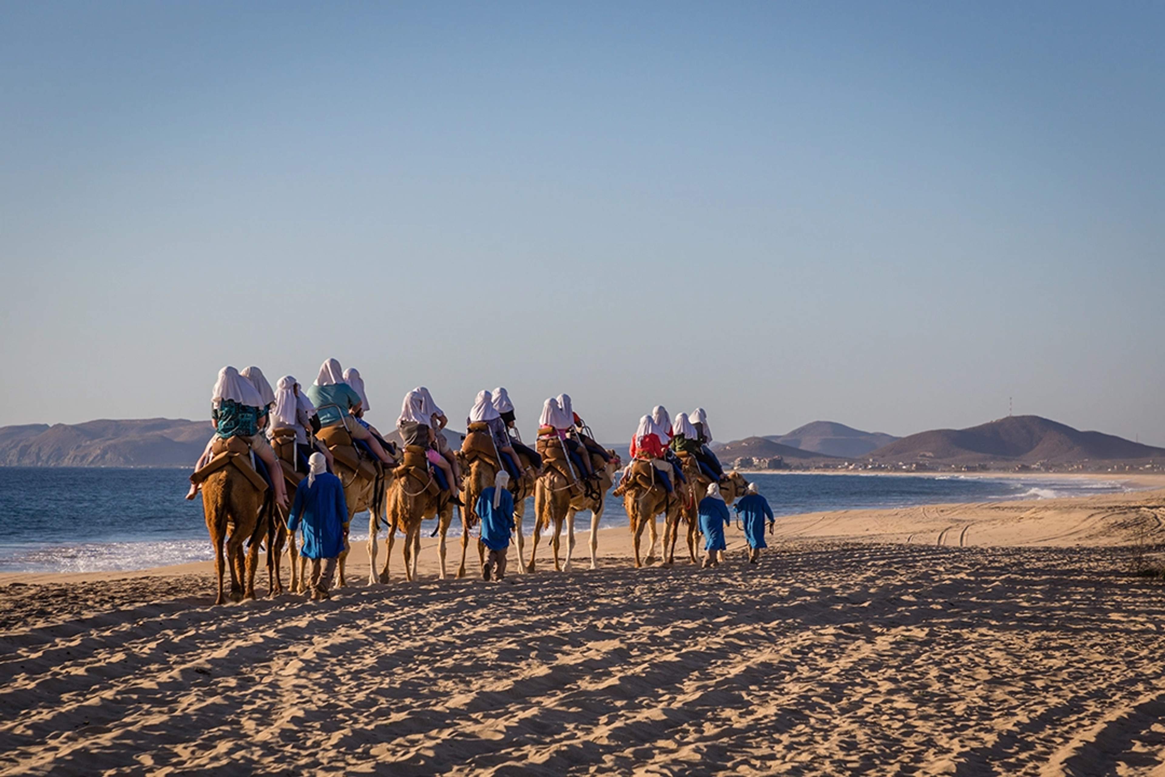 A group of tourists rides camels along a sandy beach near the ocean, with mountains in the background under a clear sky.