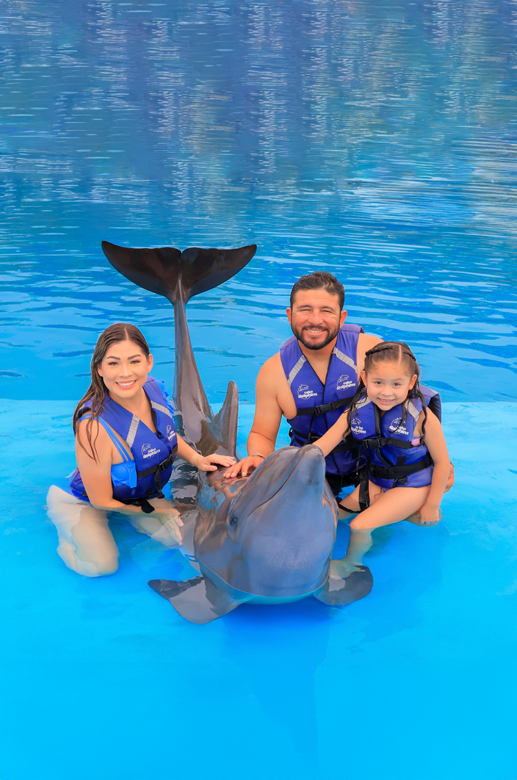 Family enjoying a swim with dolphins in Los Cabos during a memorable Cabo Adventures dolphin experience