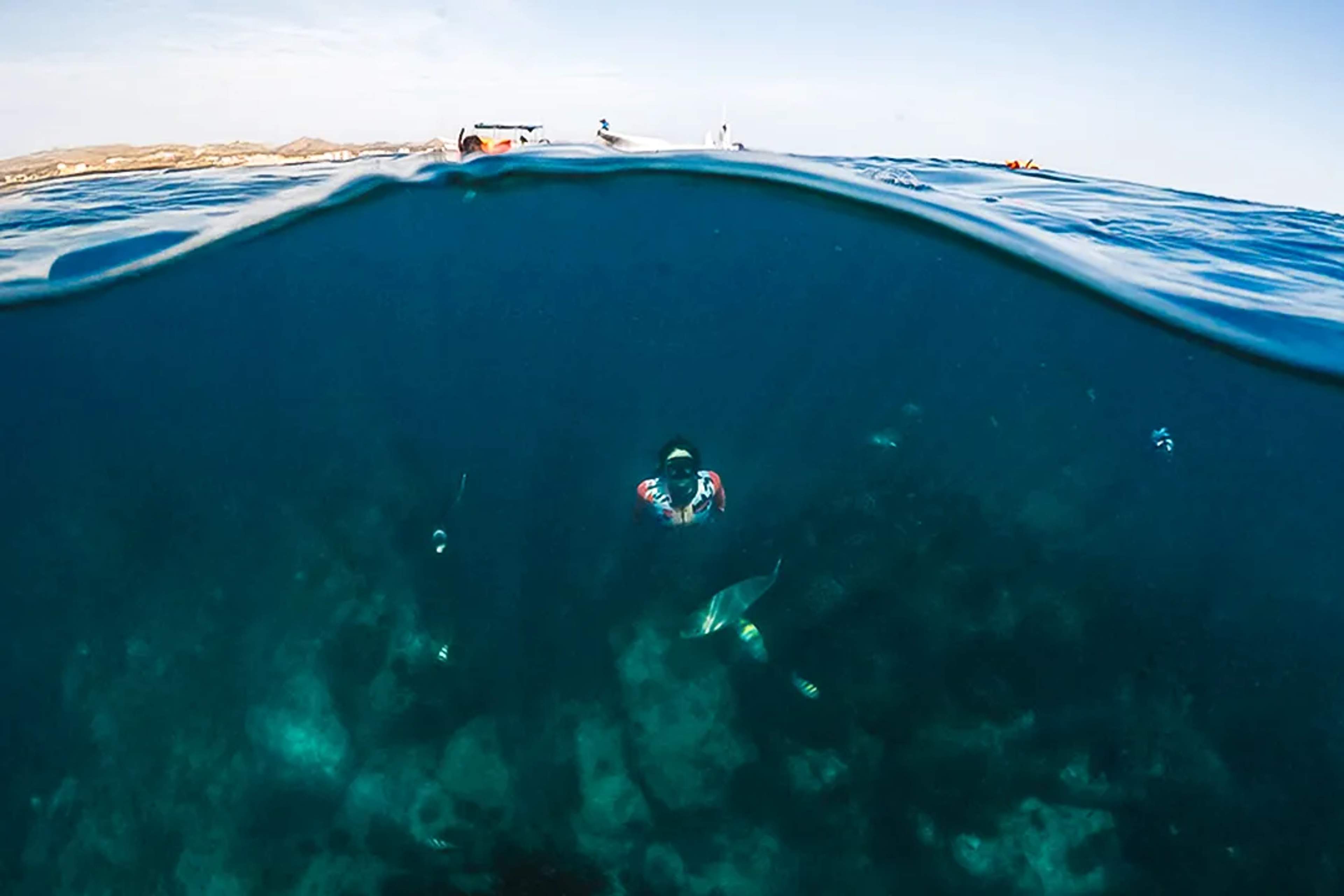 Snorkeler Exploring Crystal-Clear Waters And Marine Life During A Cabo San Lucas Ocean Adventure