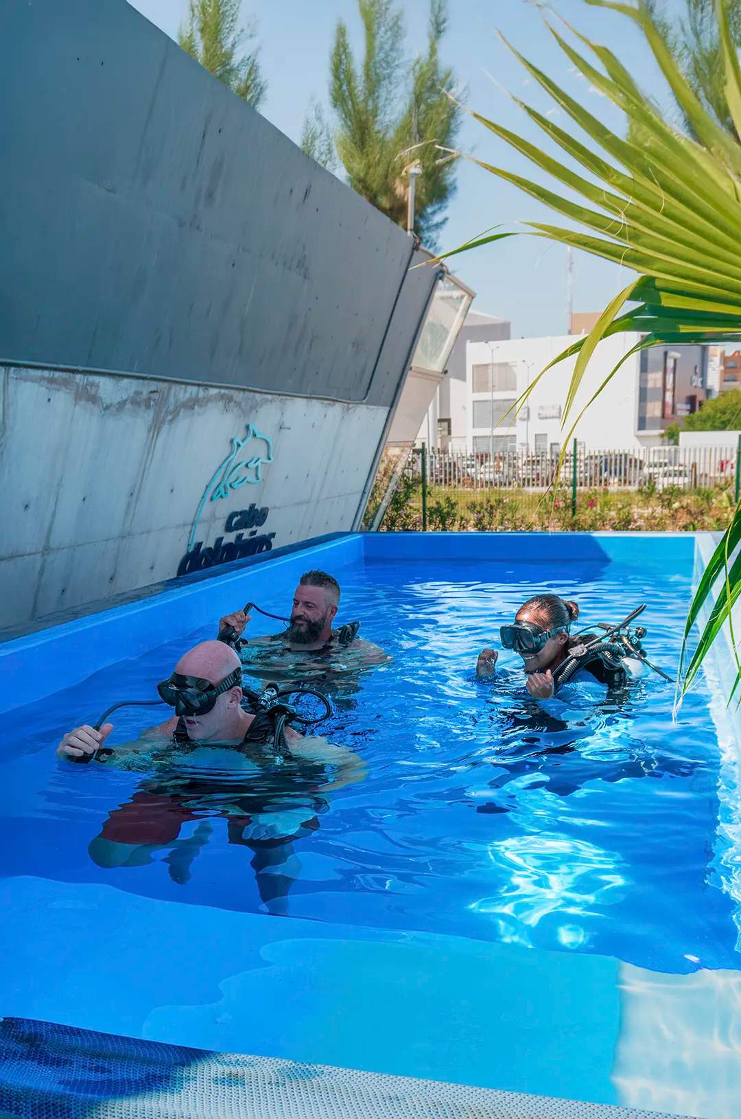 Alumnos de buceo practican técnicas de respiración en la alberca azul de Cabo Dolphins.
