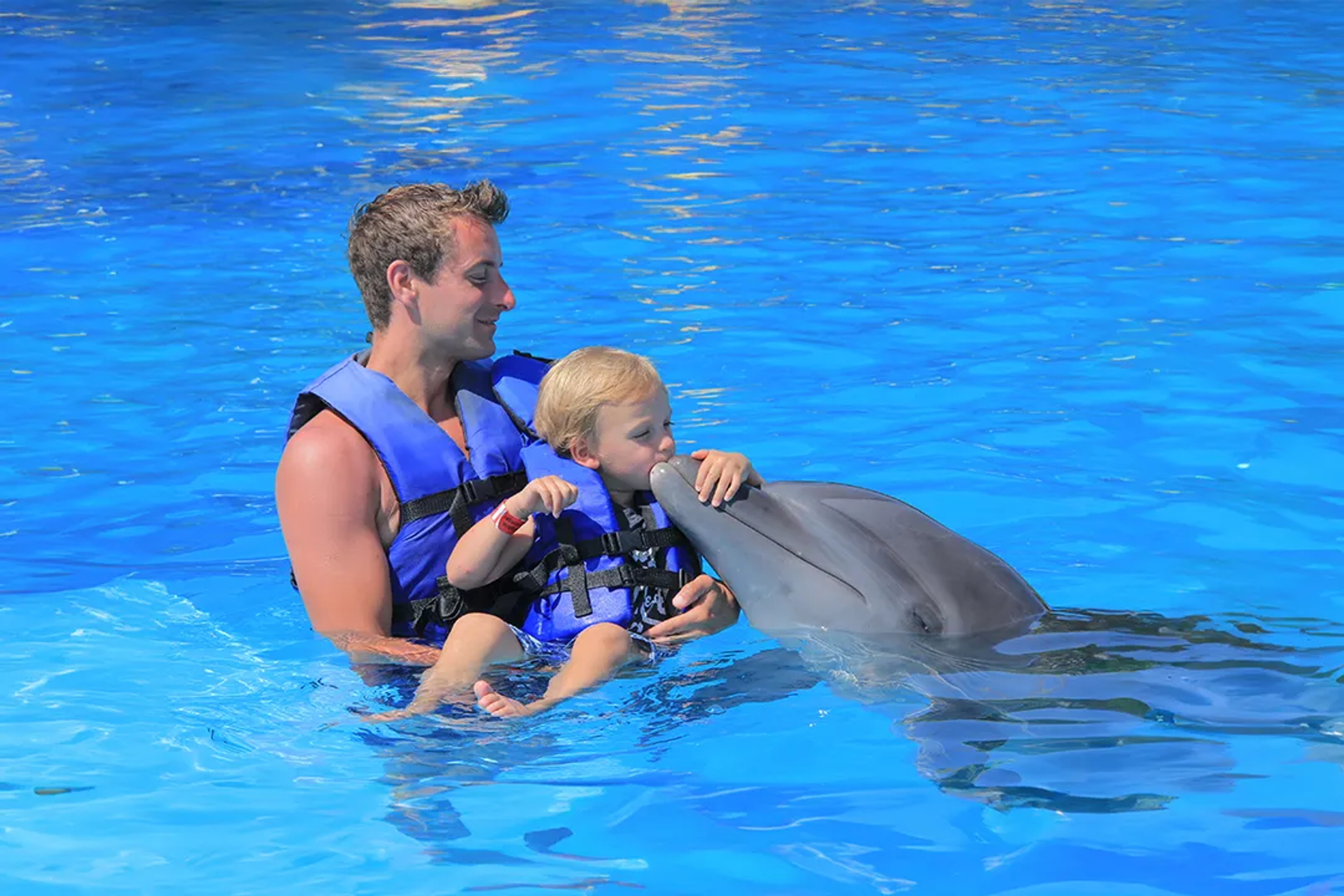 Father and son enjoy a dolphin encounter in the water, both wearing life jackets.