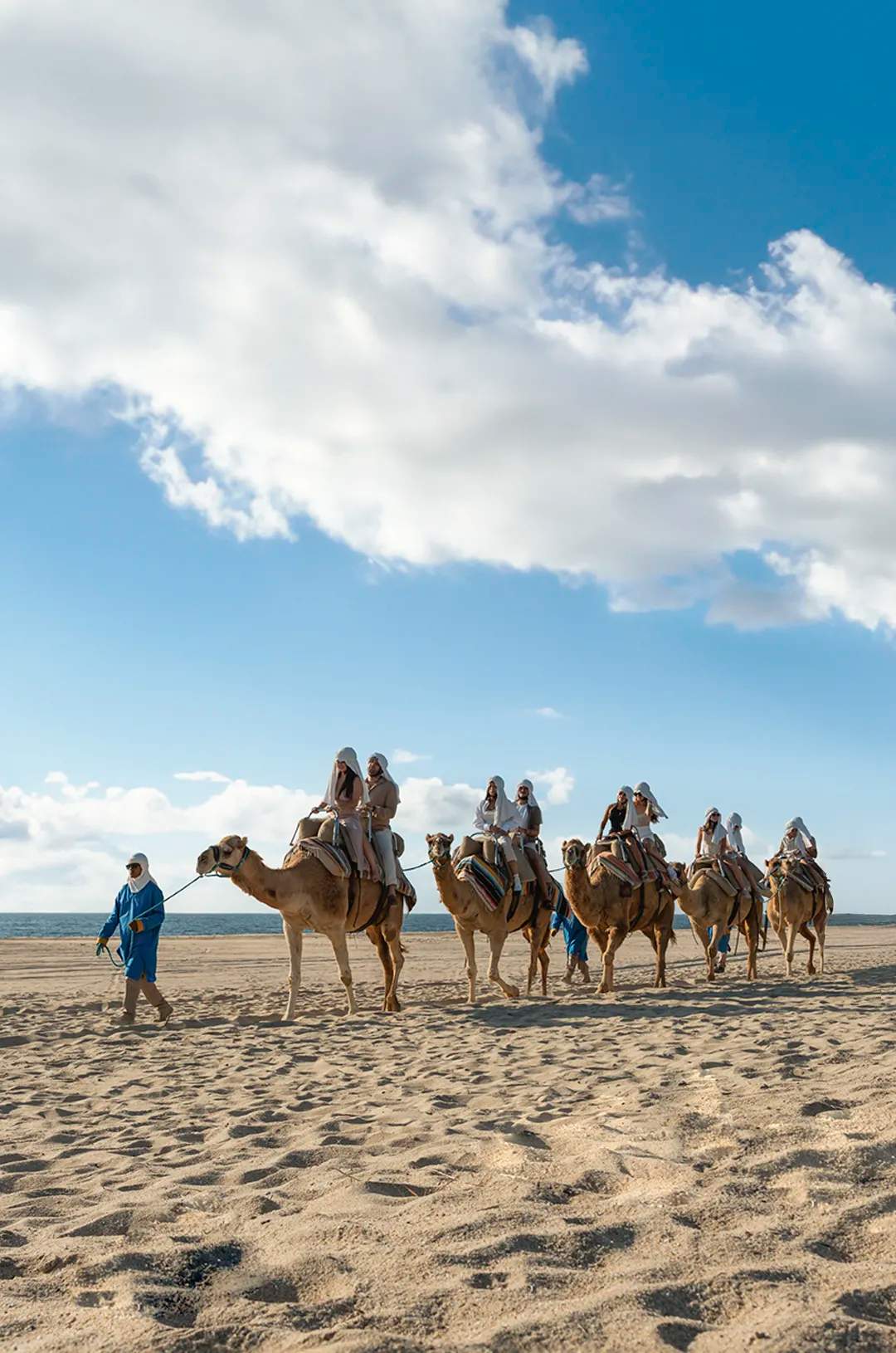Camel caravan along a scenic beach in Cabo under a bright blue sky.
