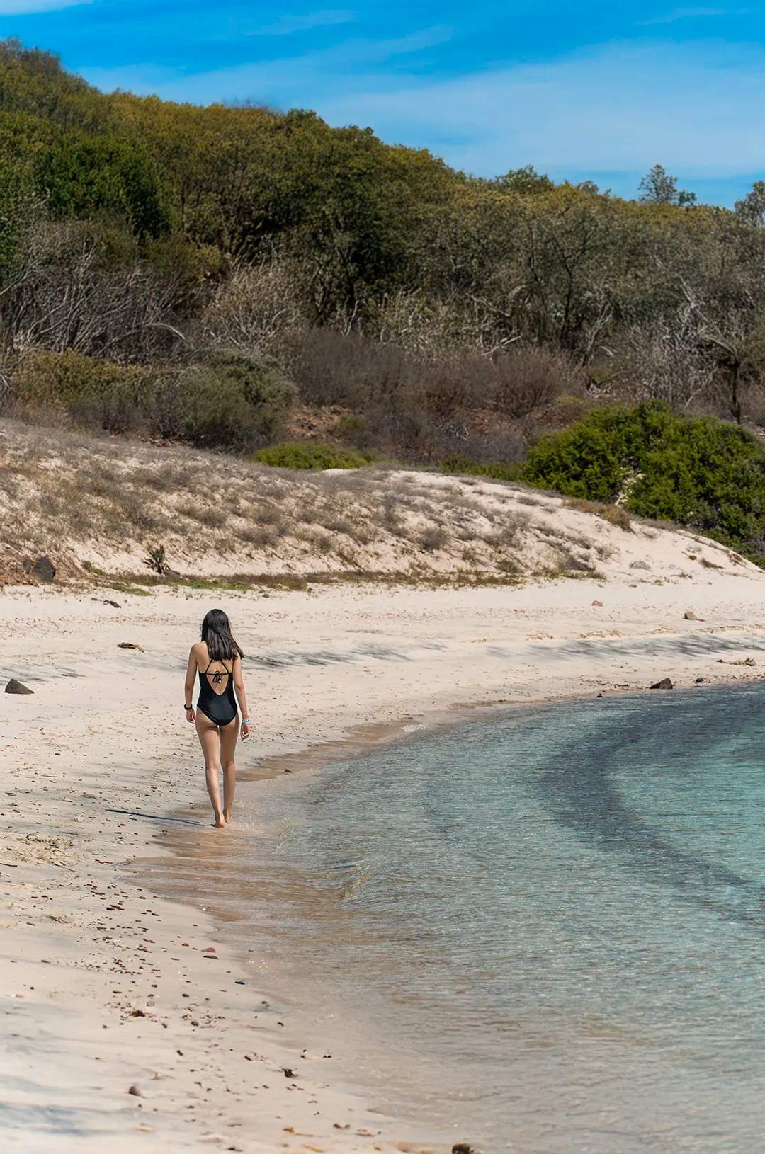 Woman walking along a pristine beach on Espiritu Santo Island, Baja California Sur, Mexico.