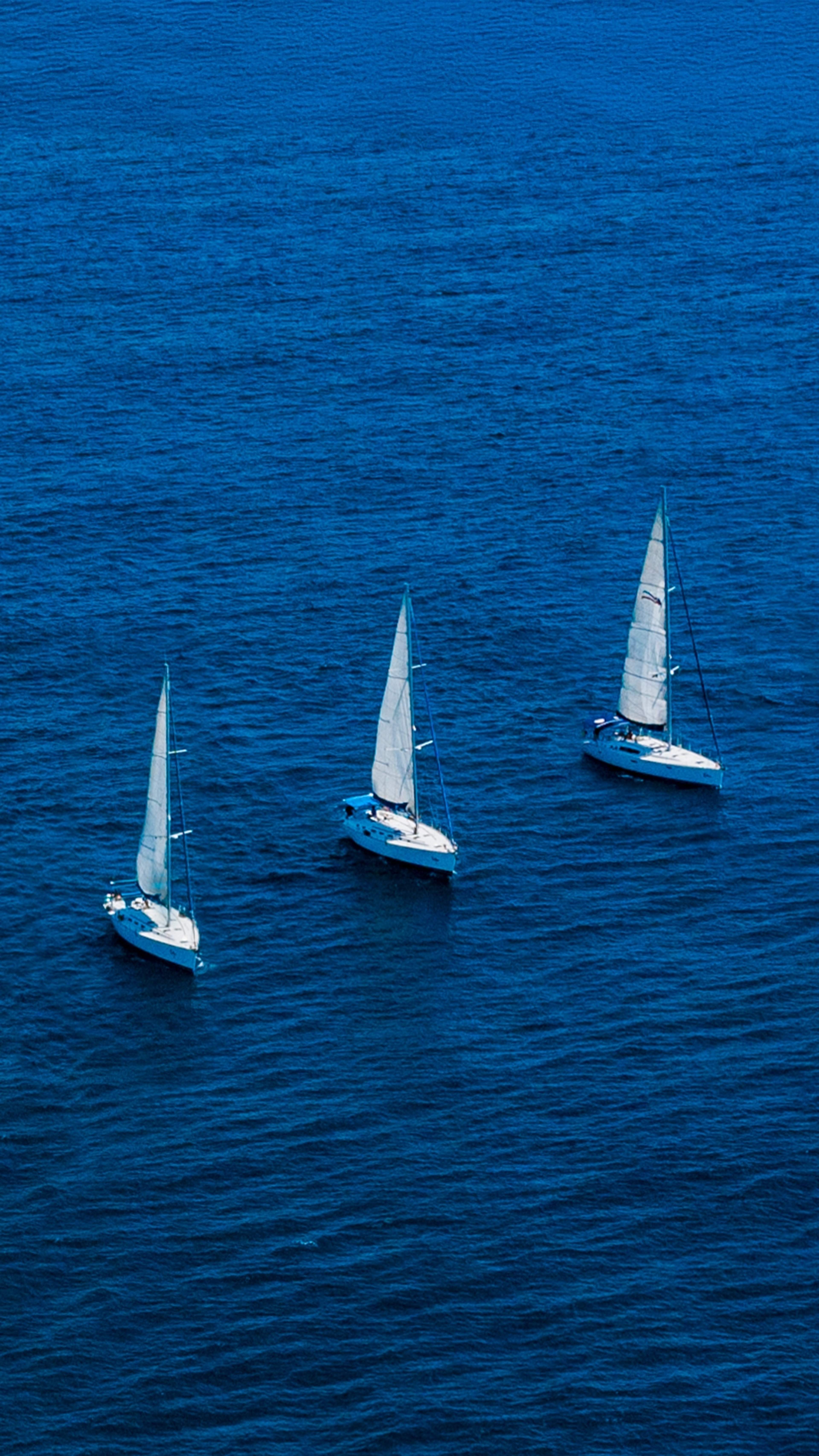 Siete veleros alineados navegan en aguas azules, creando una vista armoniosa en el mar.
