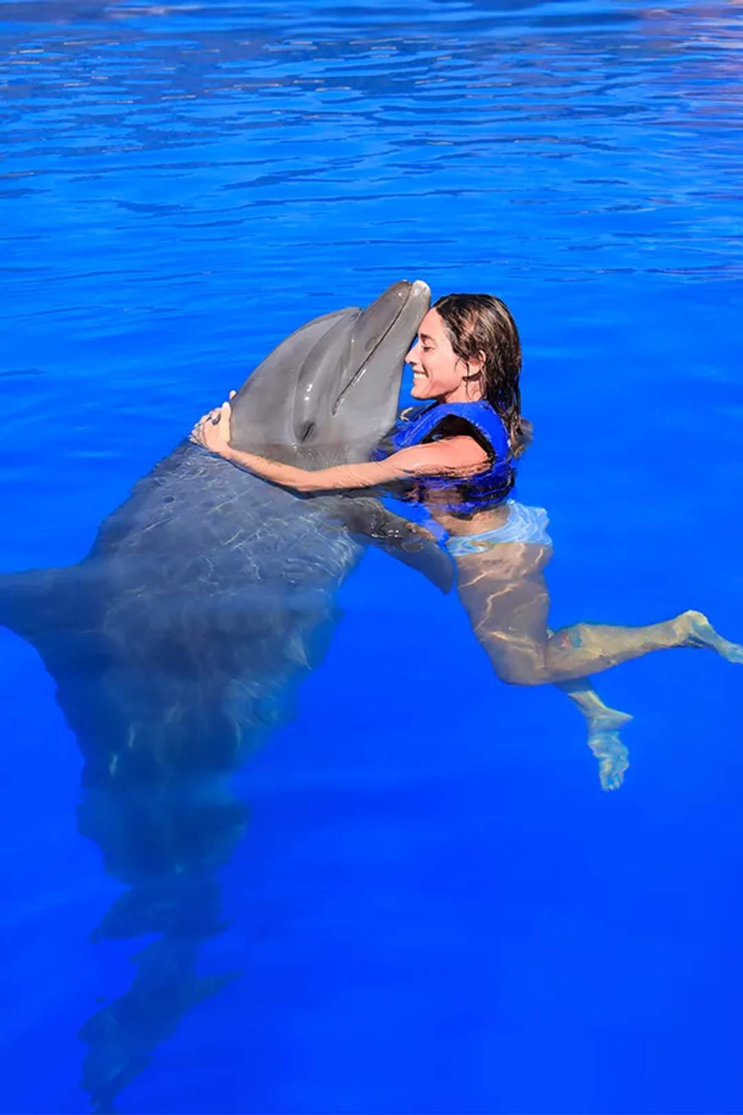 Hombre disfrutando de una experiencia de nado con delfines debajo del agua en Cabo San Lucas.