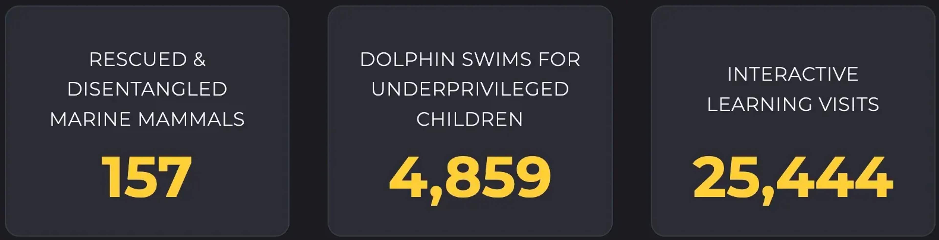 Vallarta Adventures' commitment to marine mammal conservation and community impact, in figures.
