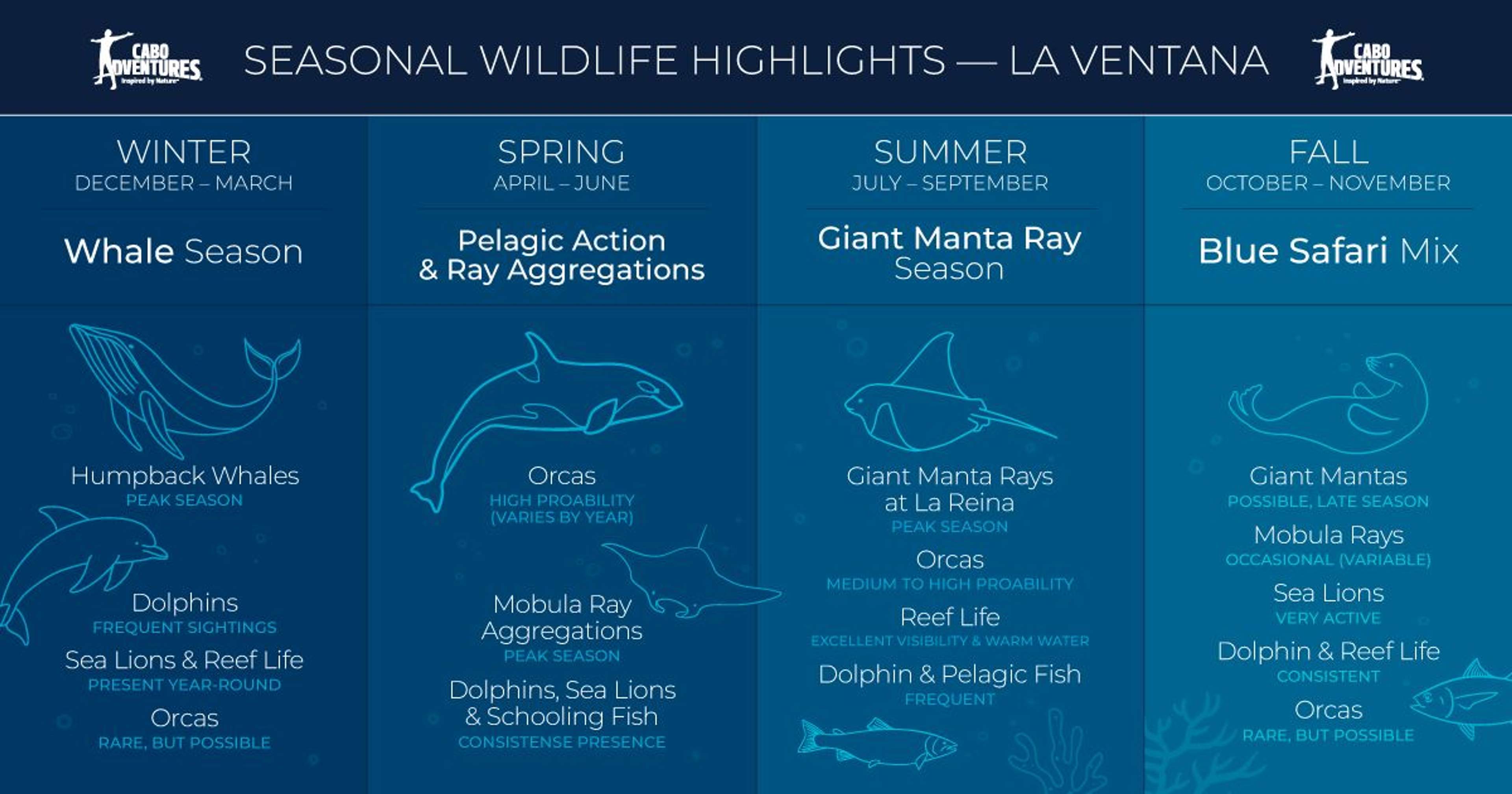 ocean safari calendar