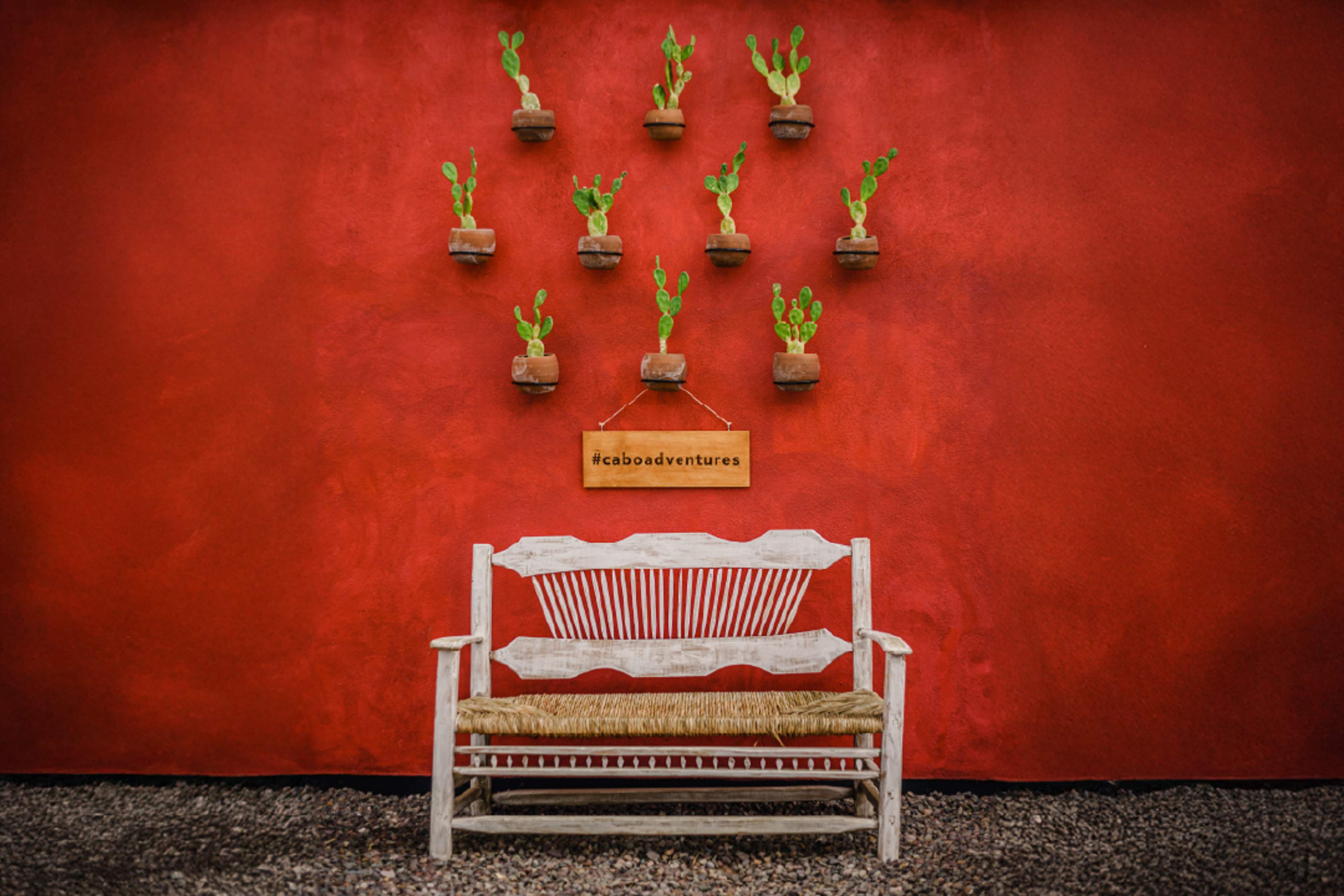 Rustic white bench with cactus wall decor and #caboadventures sign, Instagram spot in Cabo