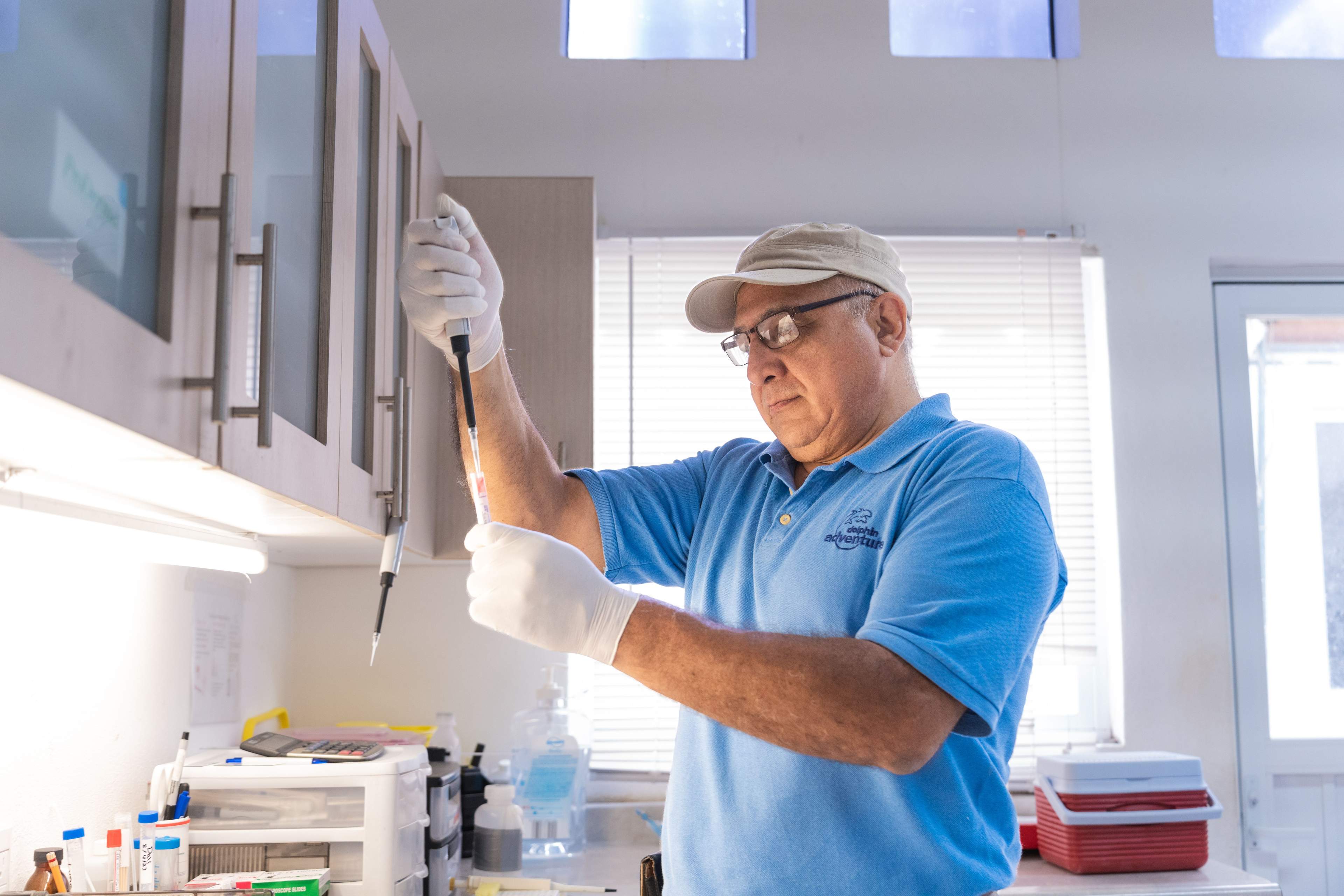 Laboratorio de mamíferos marinos