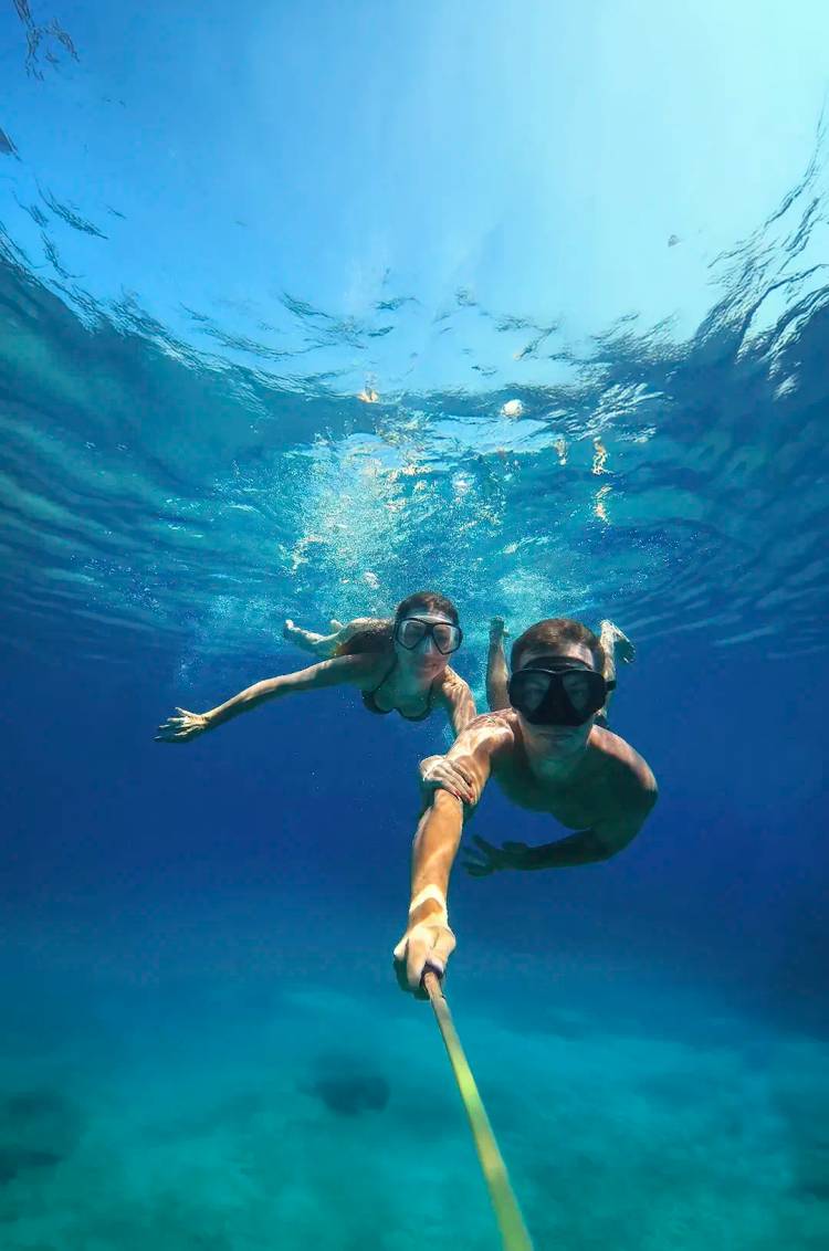 Tour de snorkel a bordo de Oceanus en Cabo San Lucas