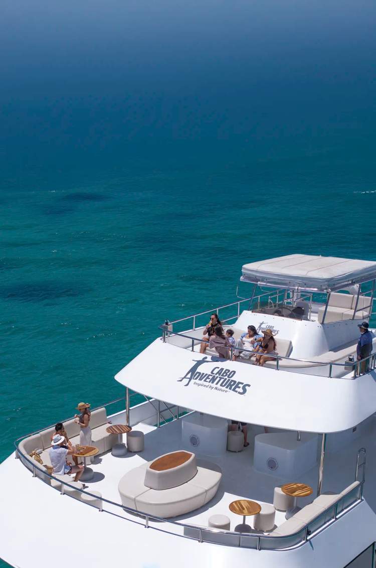 Guests enjoying cocktails and ocean views aboard the TwentyFive luxury catamaran during a Cabo snorkel cruise.