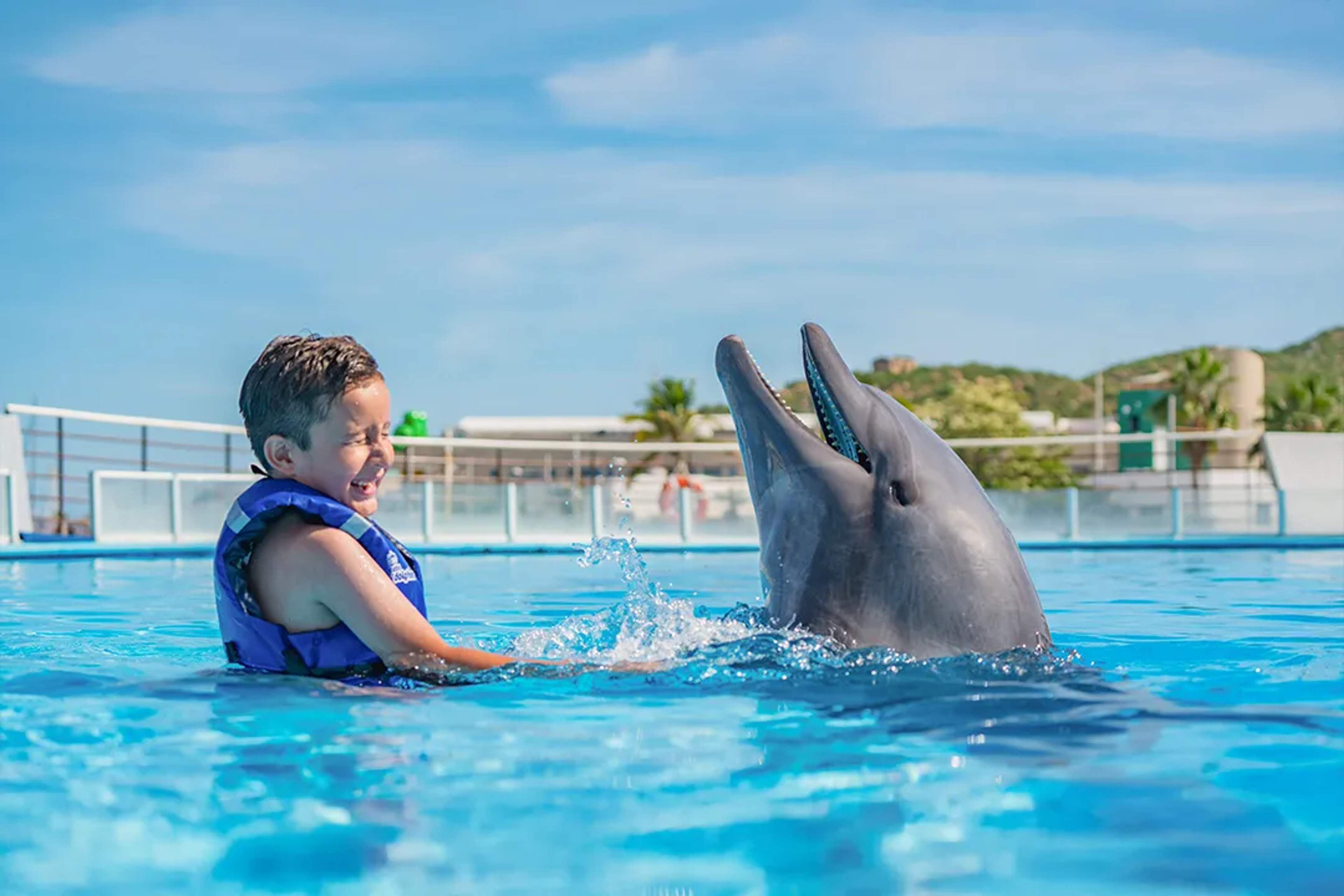 Child enjoying a dolphin encounter at Cabo Dolphins in Cabo San Lucas, Los Cabos, Mexico