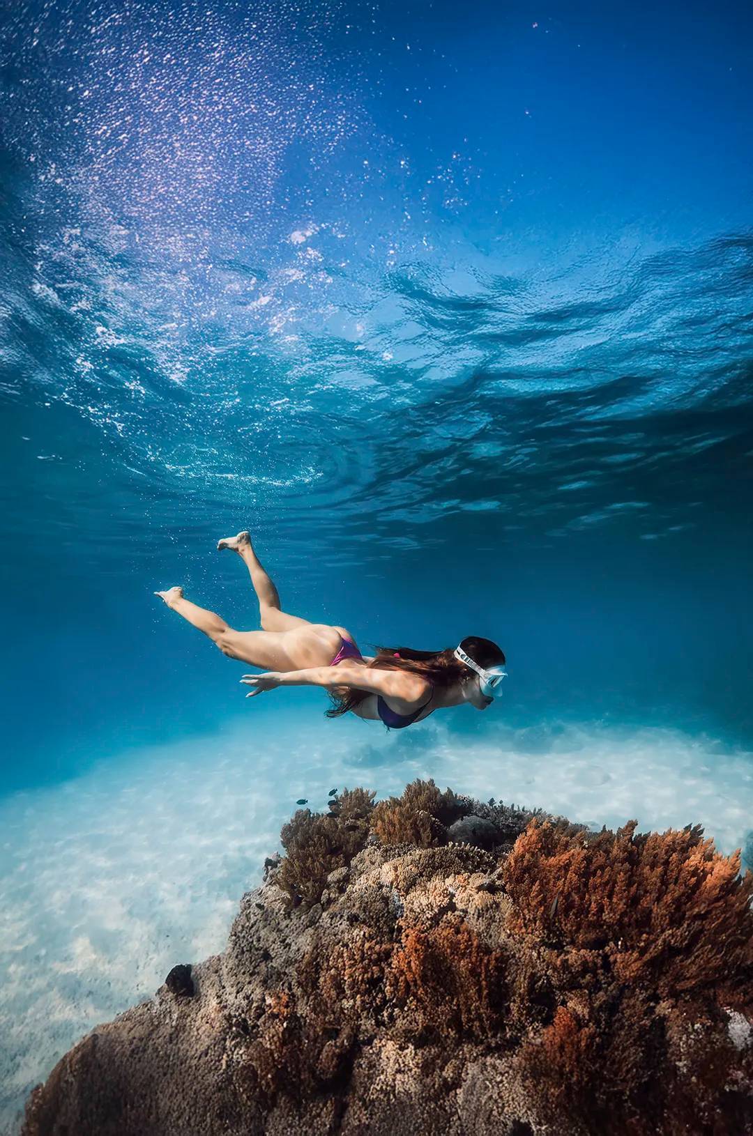Snorkeling in crystal-clear waters of Los Cabos, exploring coral reefs and marine life during a premium catamaran cruise.